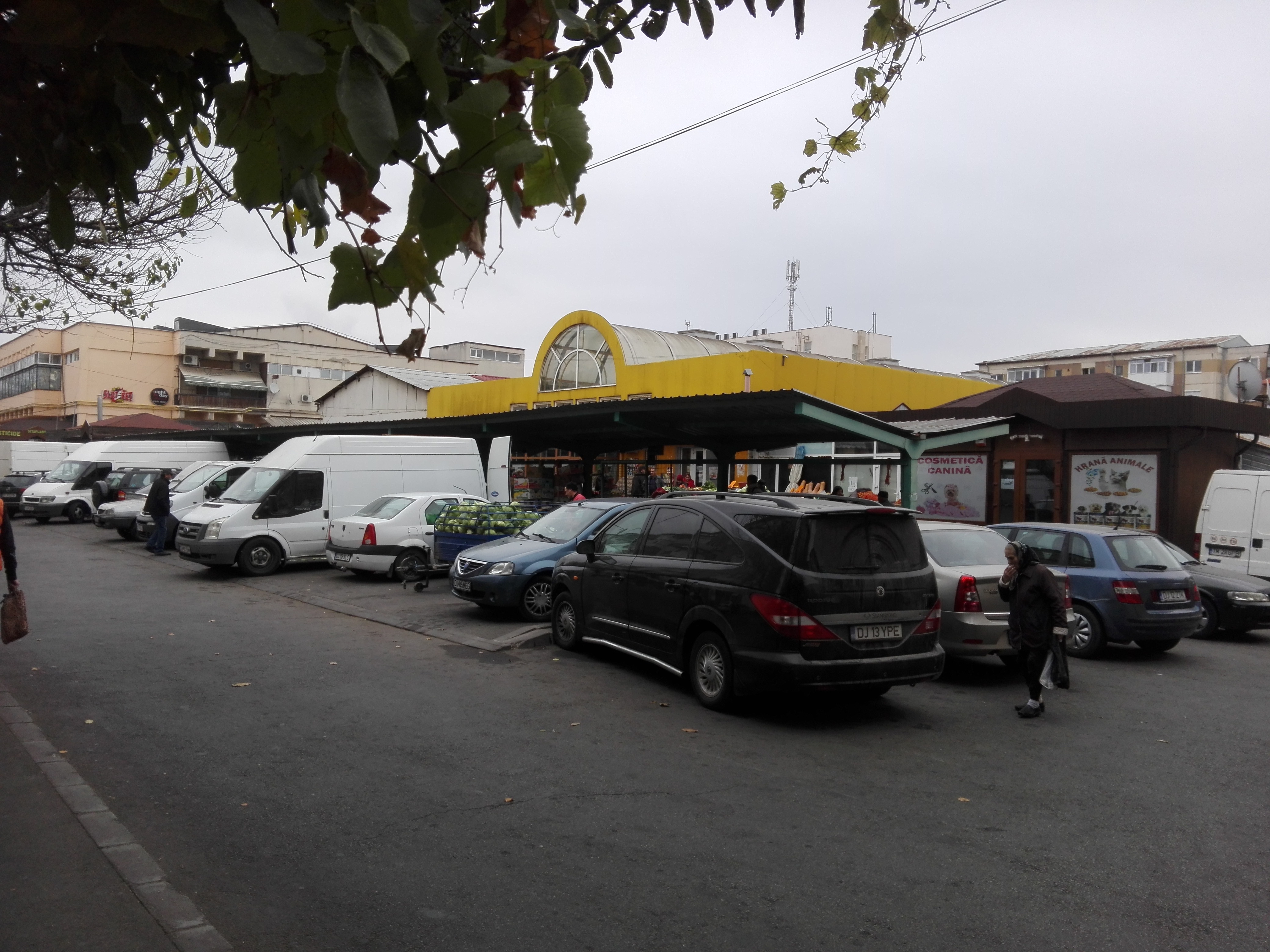 Azi despre ieri – 19 februarie 2019