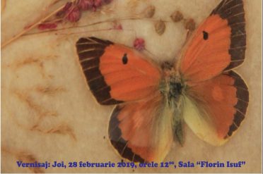 „Fluturi și Flori” la Târgu Jiu