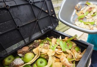 Combaterea risipei alimentare prin donarea de alimente