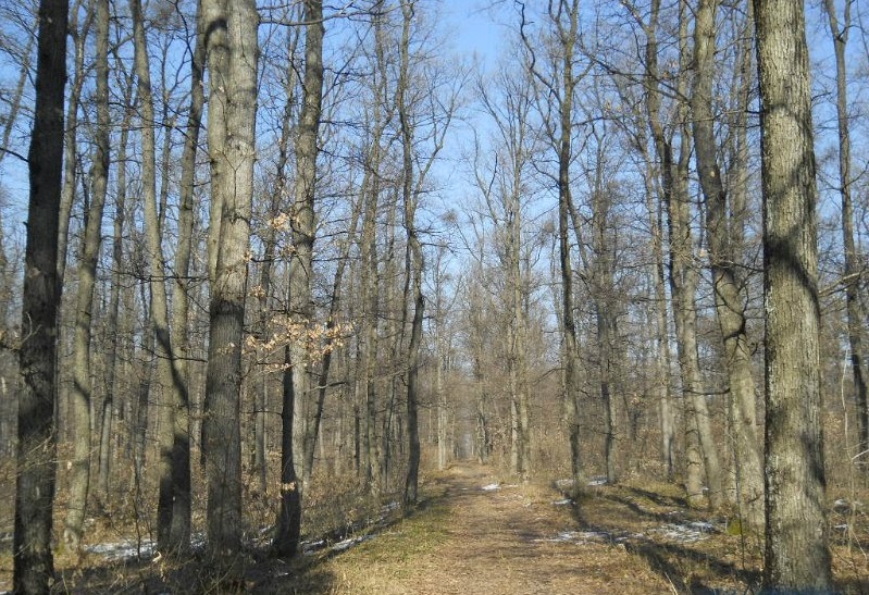 Prognoza meteo 2/3 februarie (audio)