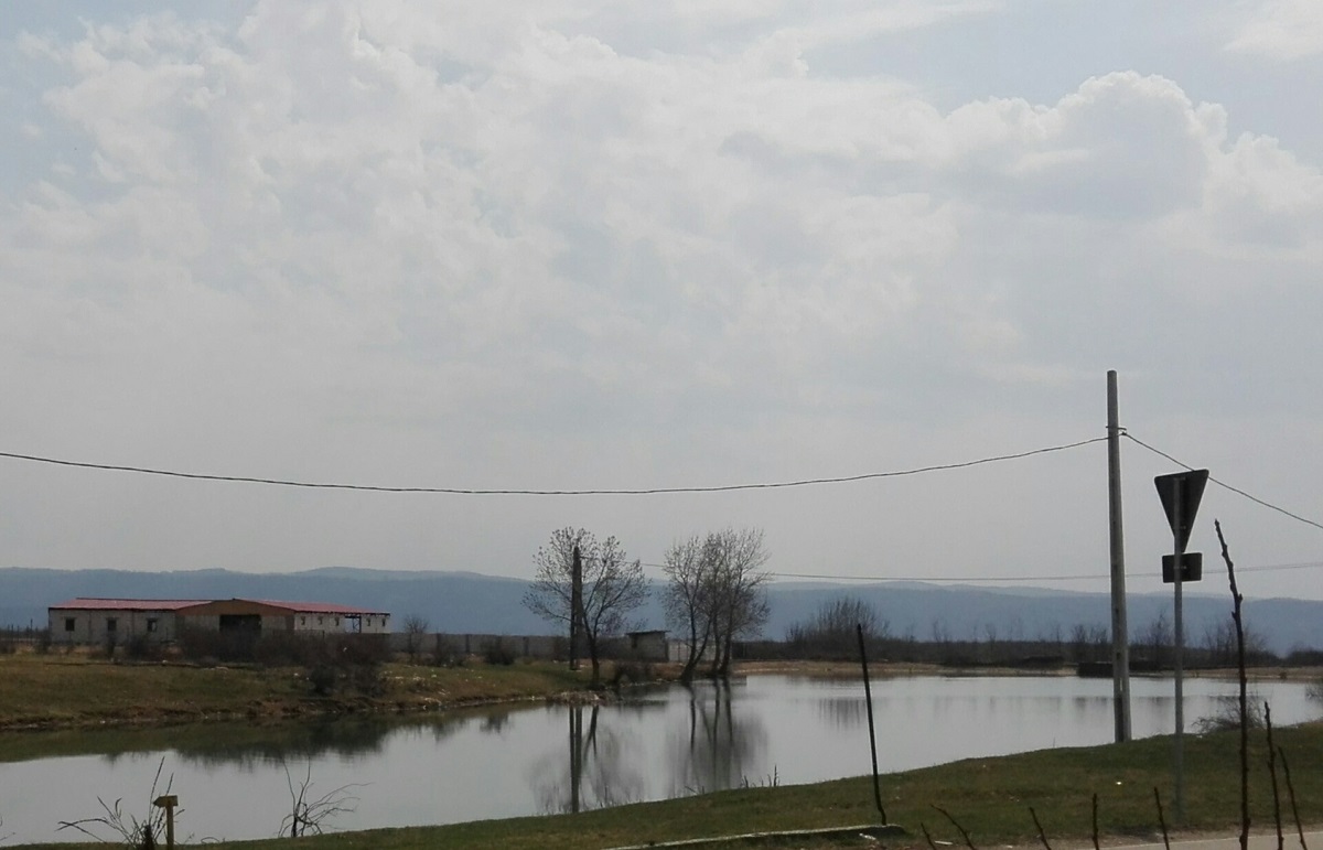 Acțiune de ecologizare pe Olt