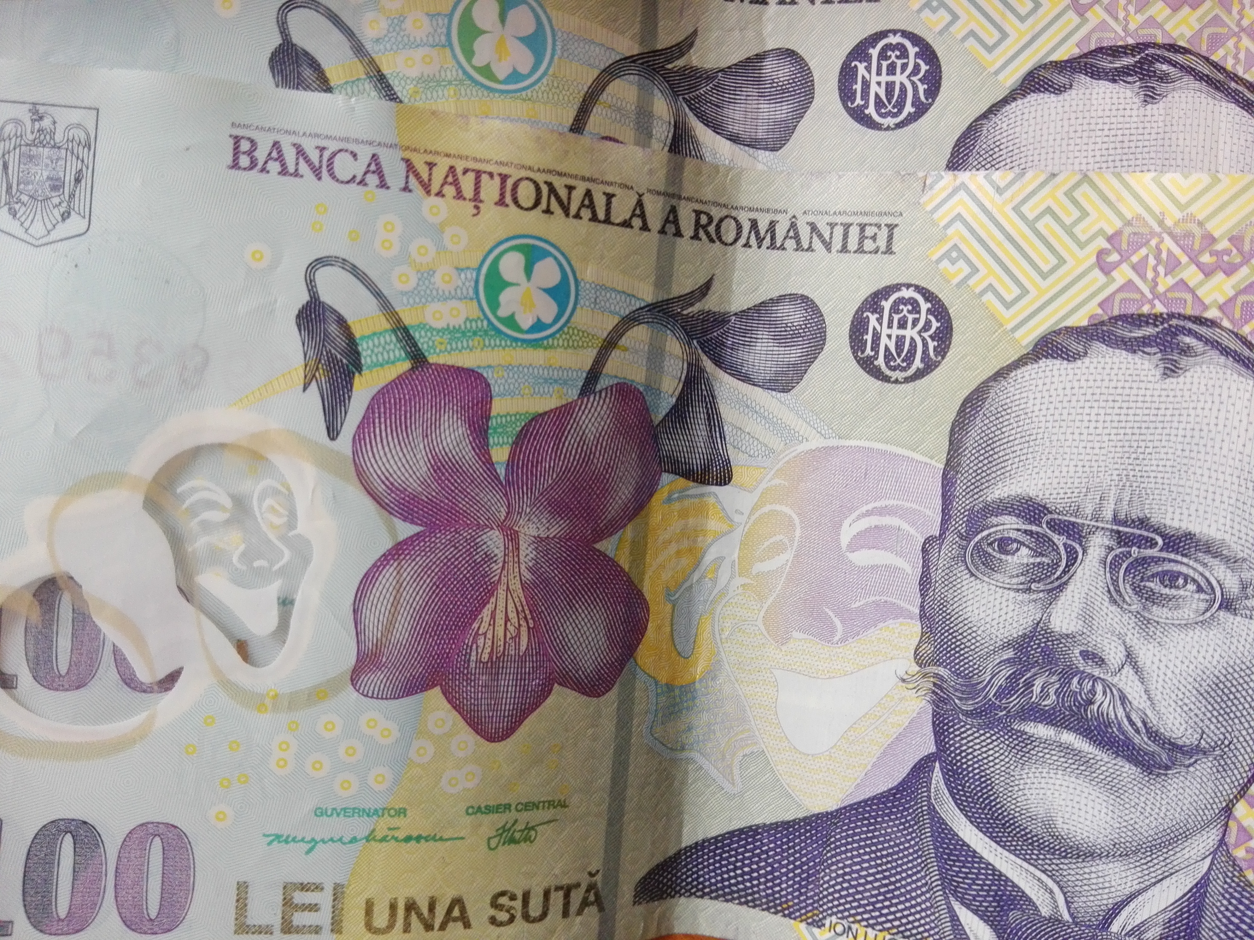 Proiect de rectificare