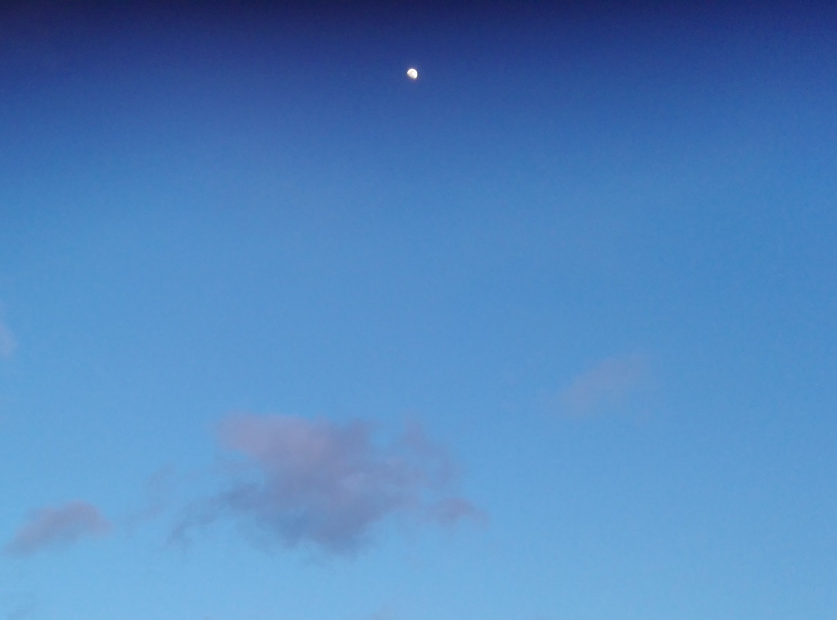 Anchetă la TAROM (audio)