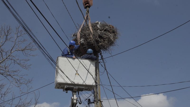 UITE, BARZA! 100 de cuiburi noi instalate în ultimii 2 ani