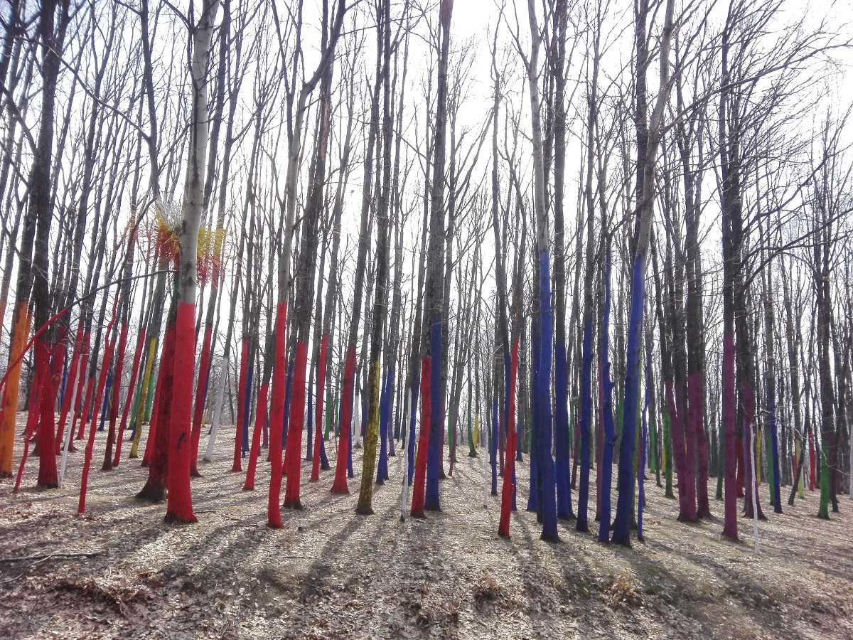 Începe primăvara astronomică!