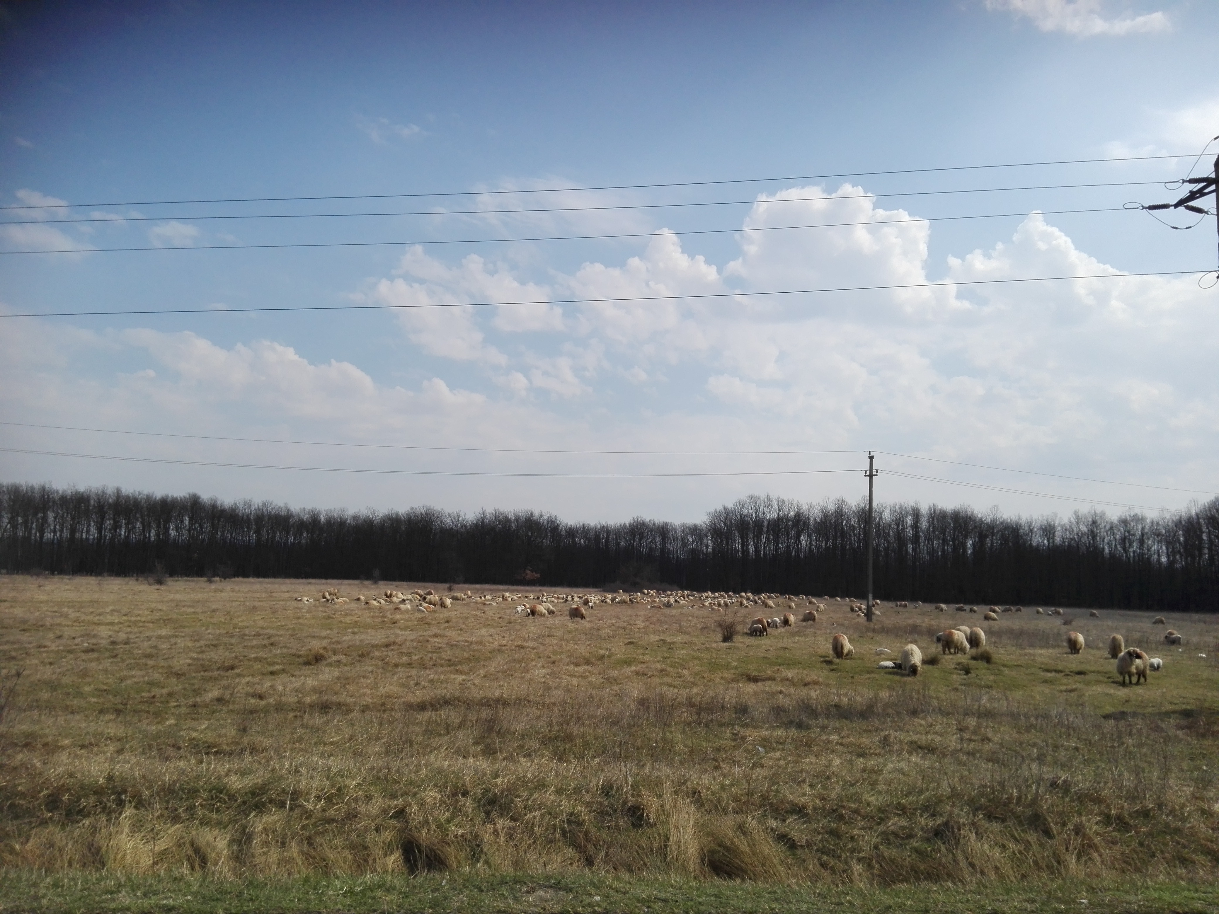 Doljul, pe primul loc pe țară la cadastru în 2019