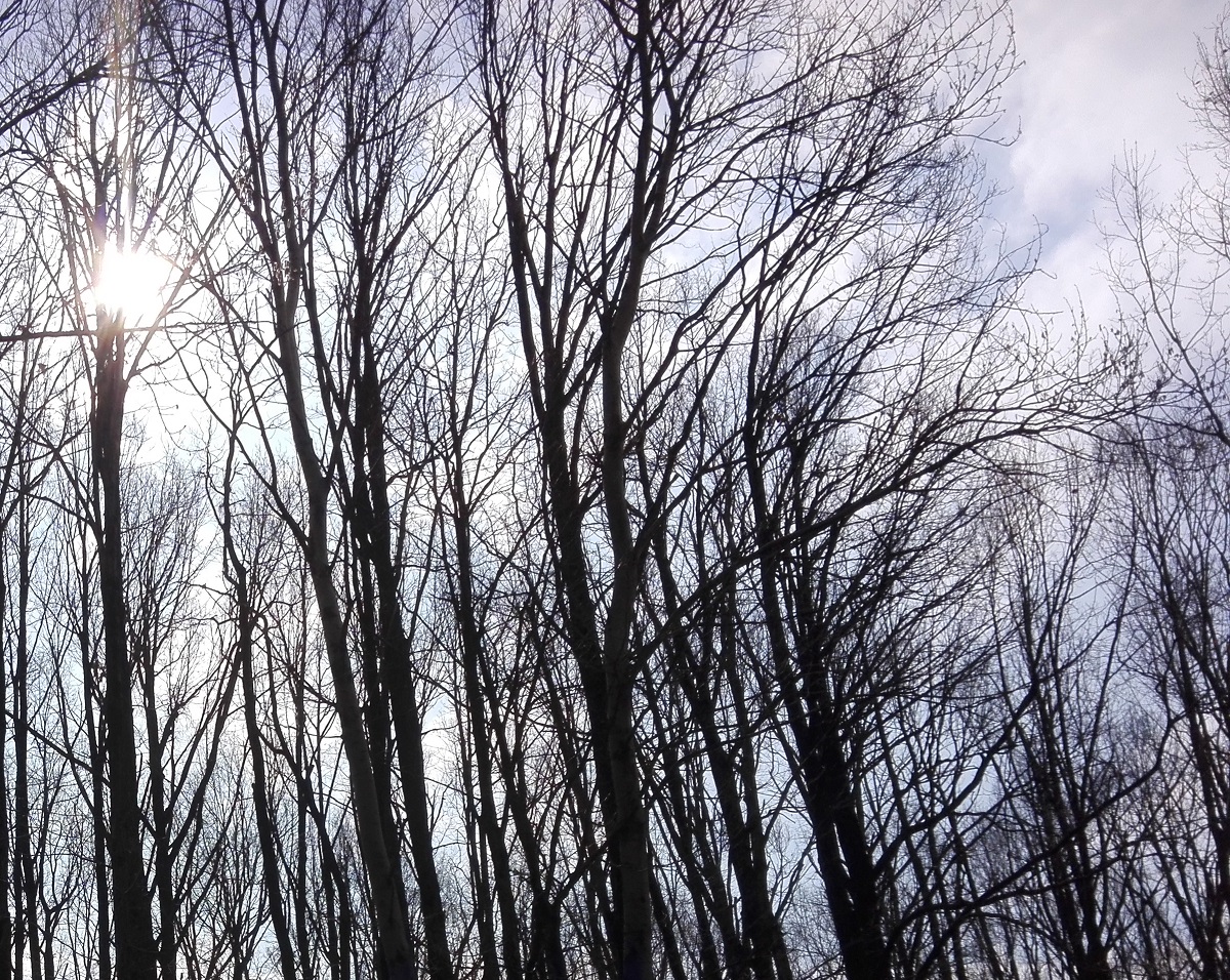 Incendiu în comuna Malaia-Vâlcea