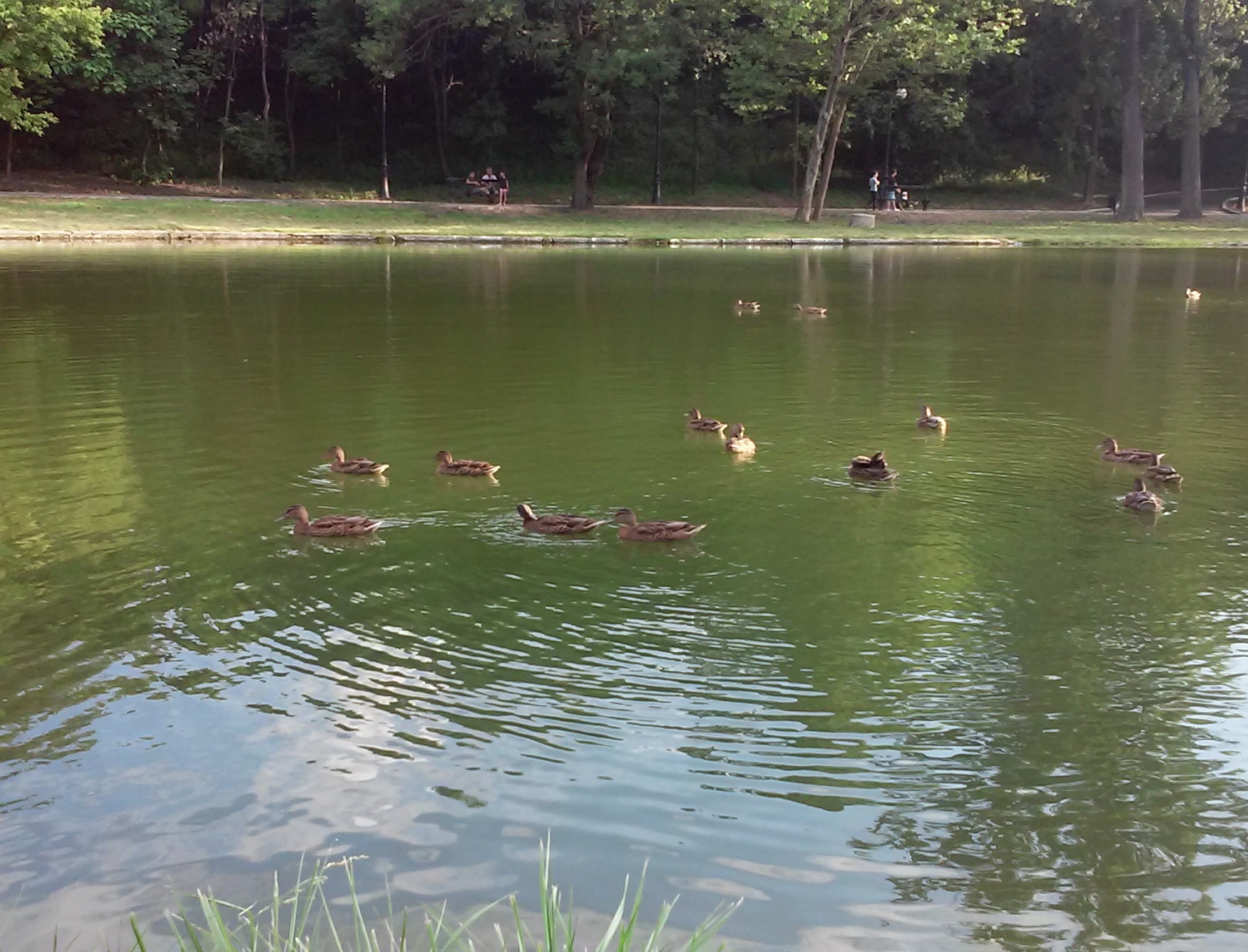 Azi despre ieri – 14 aprilie 2019