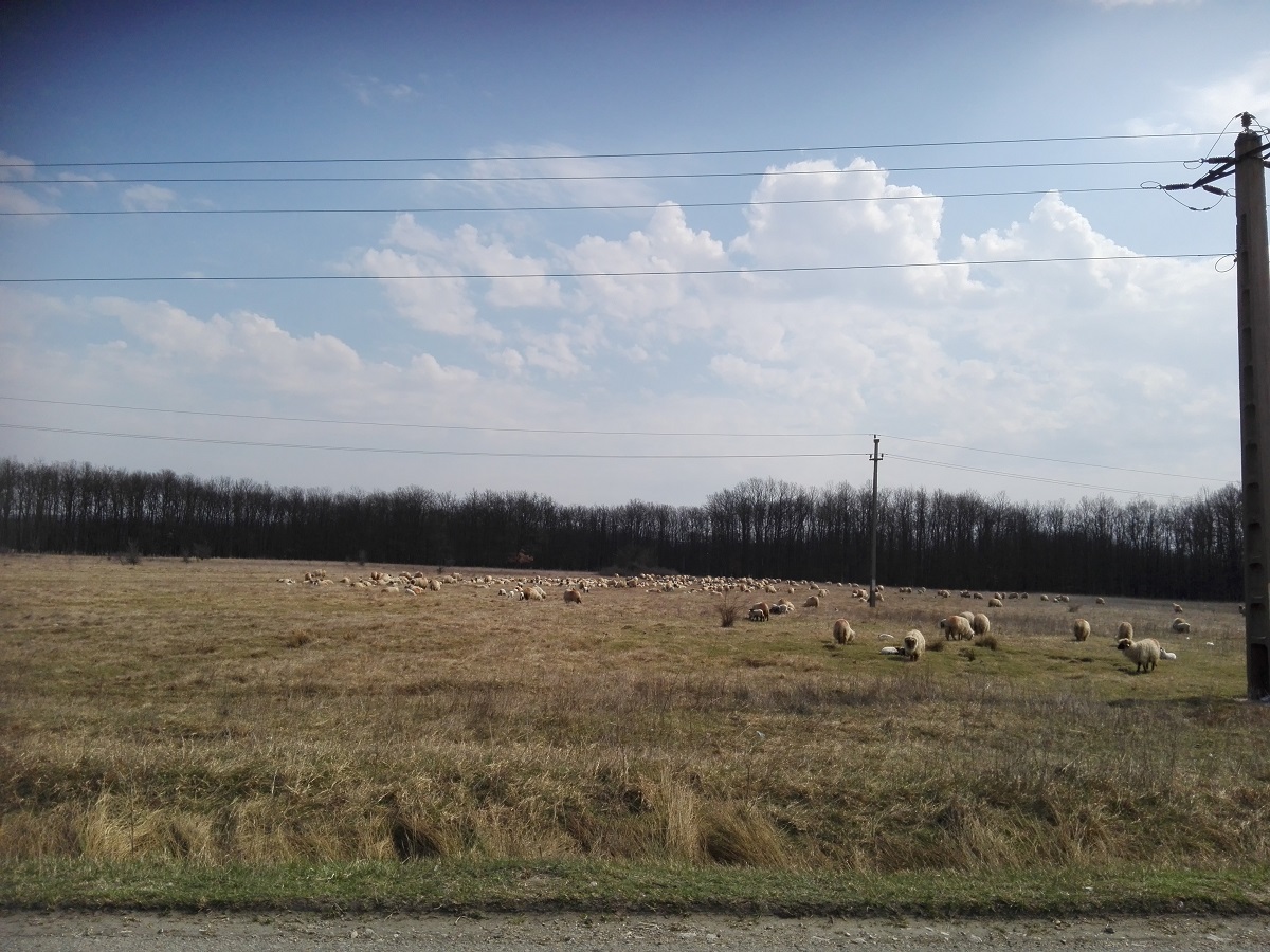 Azi despre ieri – 8 aprilie 2019