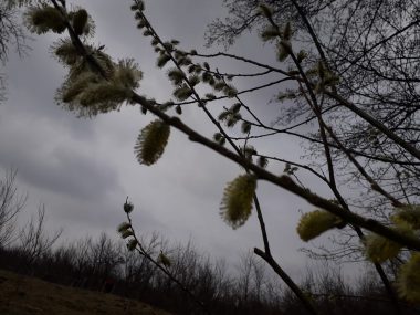 Vremea se răceşte de săptămâna viitoare (audio)