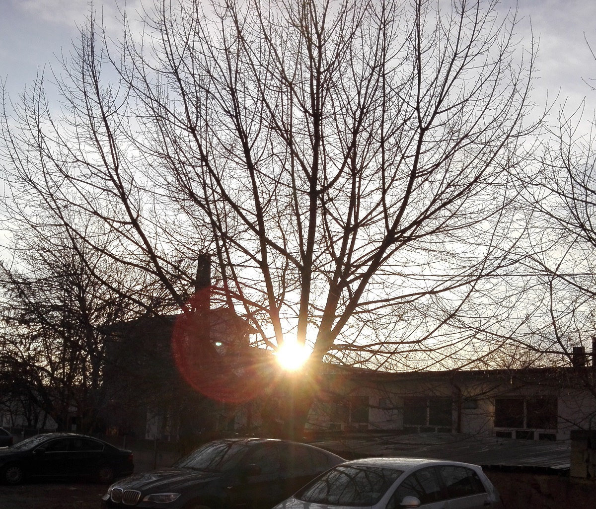 Azi despre ieri – 27 martie 2019