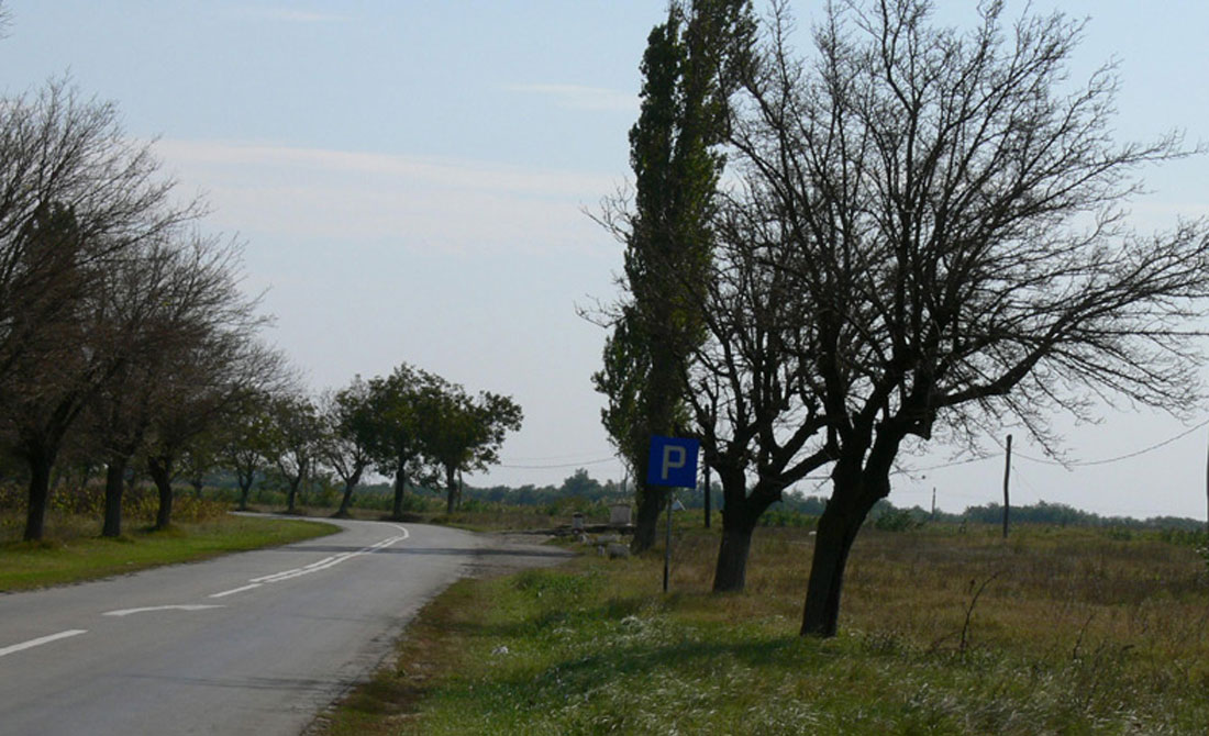 Perdele forestiere (audio)