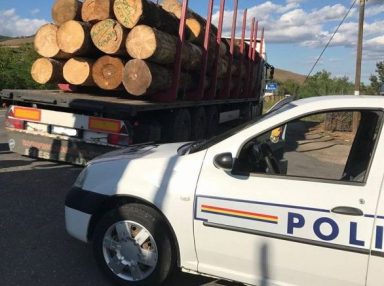 Transport ilegal de material lemnos