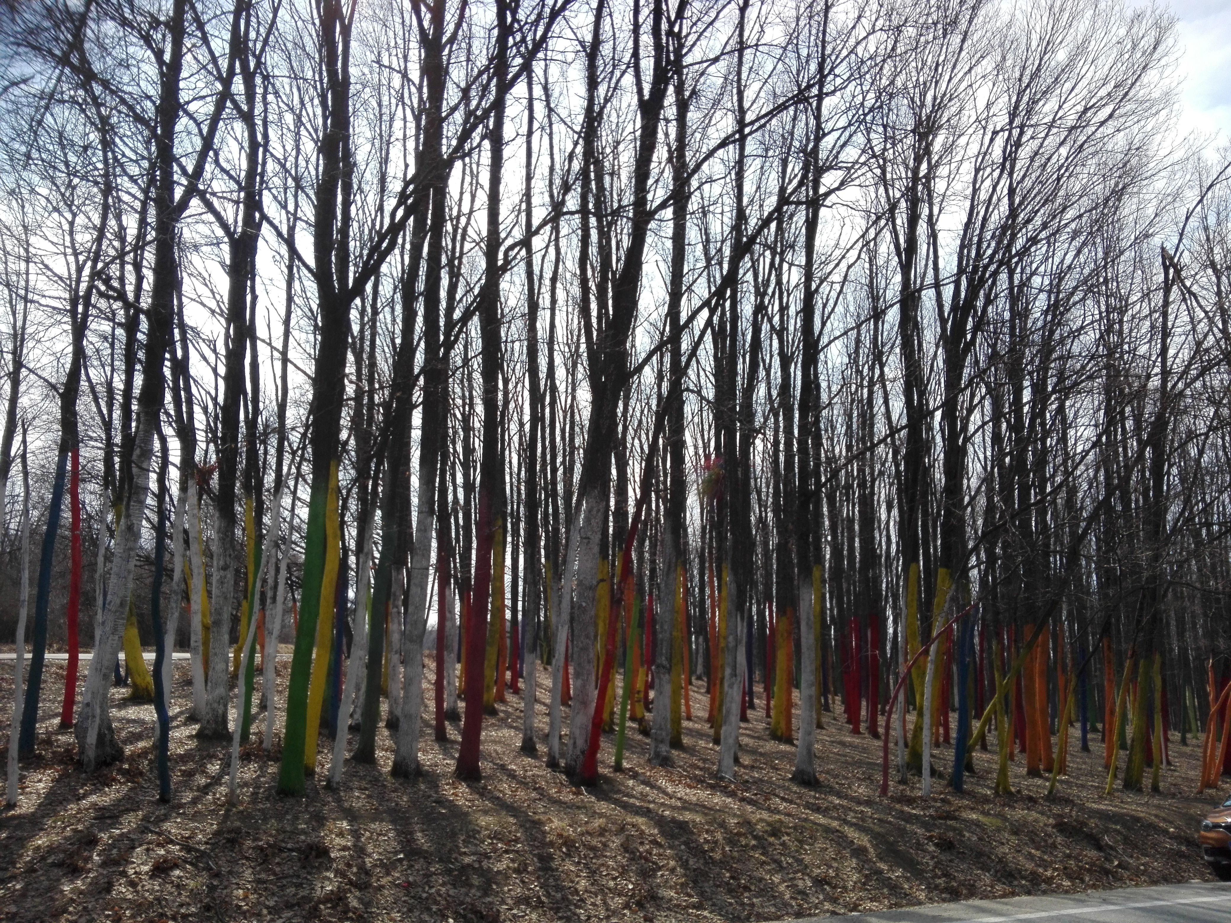 Vremea, 14/15 aprilie, în Oltenia (audio)