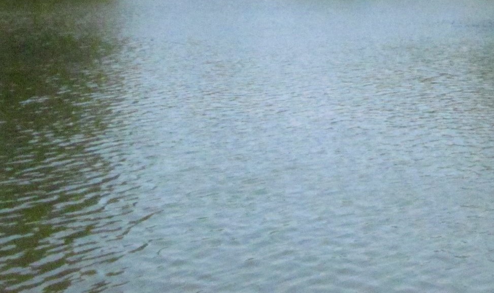 Cod galben de inundaţii pentru râuri din judeţele Mehedinţi şi Dolj