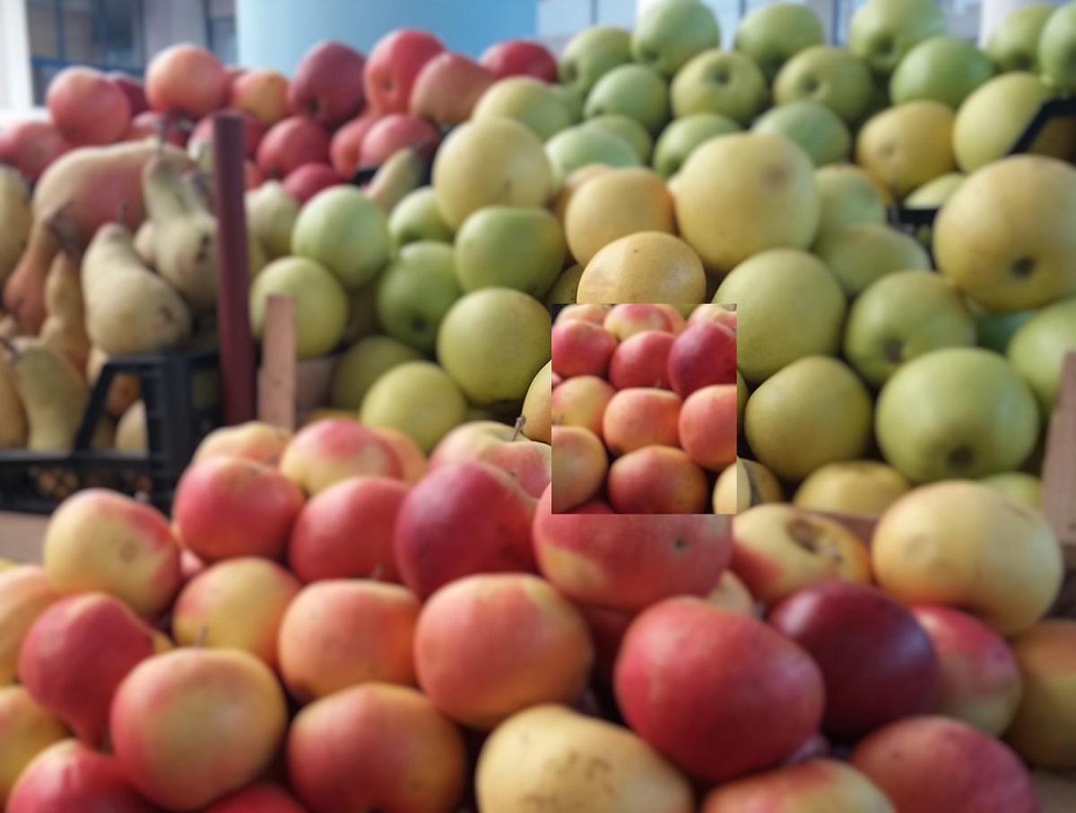 100 de locuri de muncă la cules mere, pere şi nectarine, în Spania