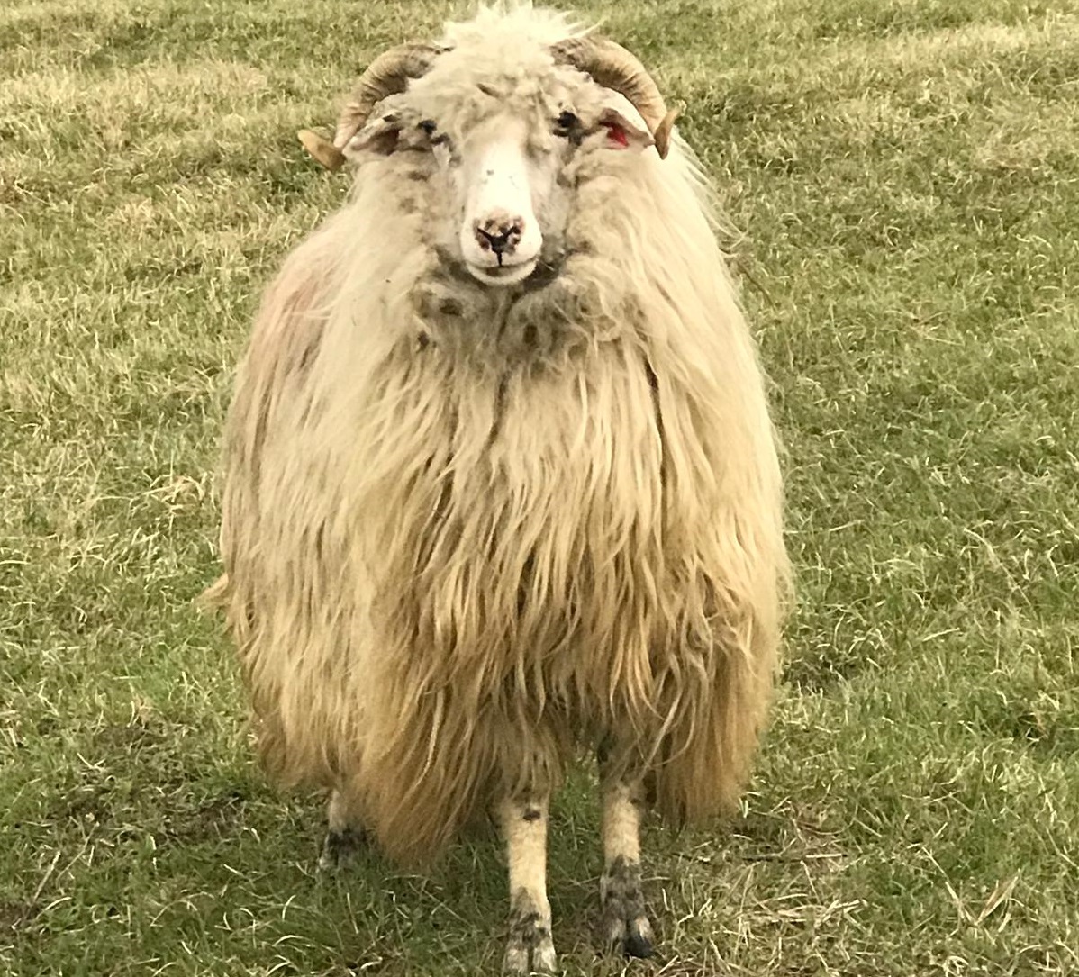 Vremea, vineri, în Oltenia (audio)