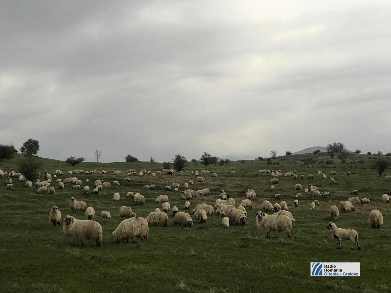 Vremea, 18/19 aprilie, în Oltenia (audio)