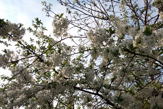 Prognoza meteo 25/26 martie