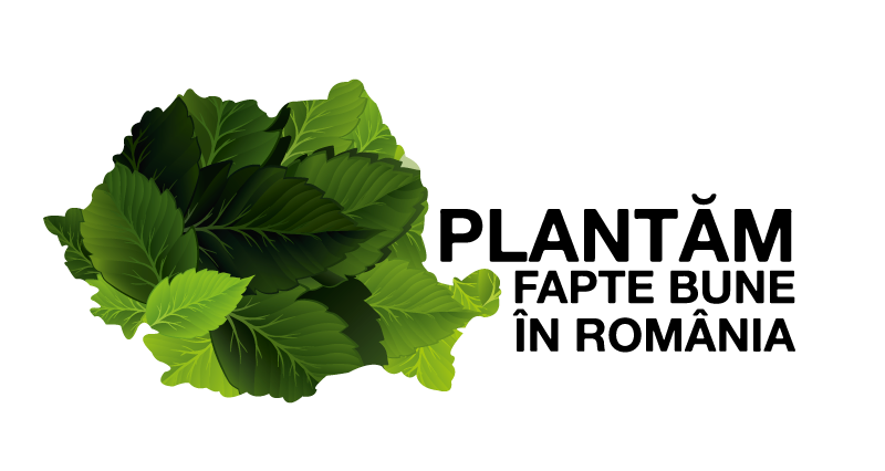 ﻿Plantări de arbori într-o zonă afectată de alunecări de teren