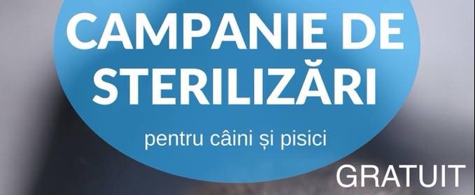 Campanie de sterilizare a animalelor de companie