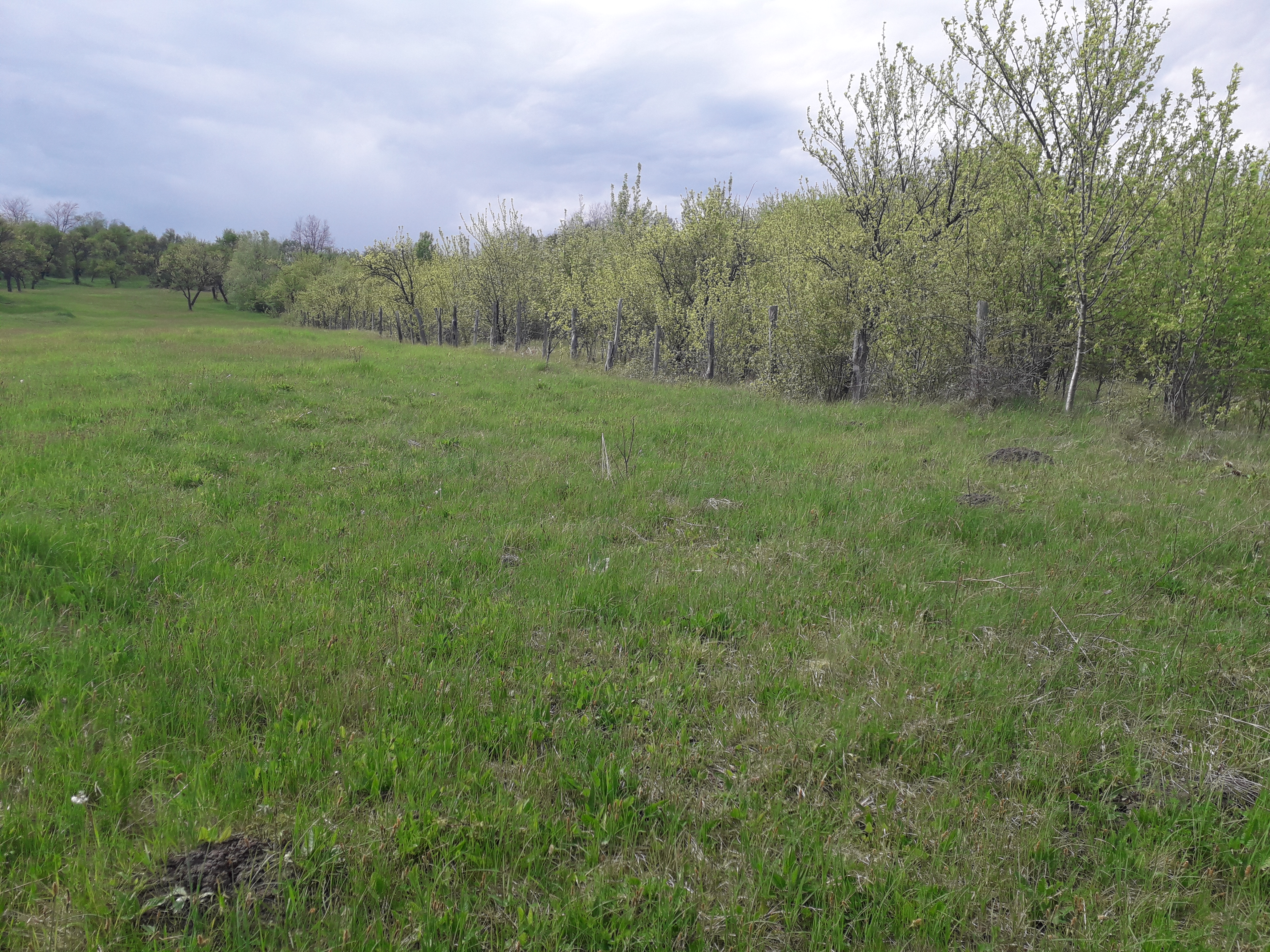 Azi despre ieri – 20 mai 2019