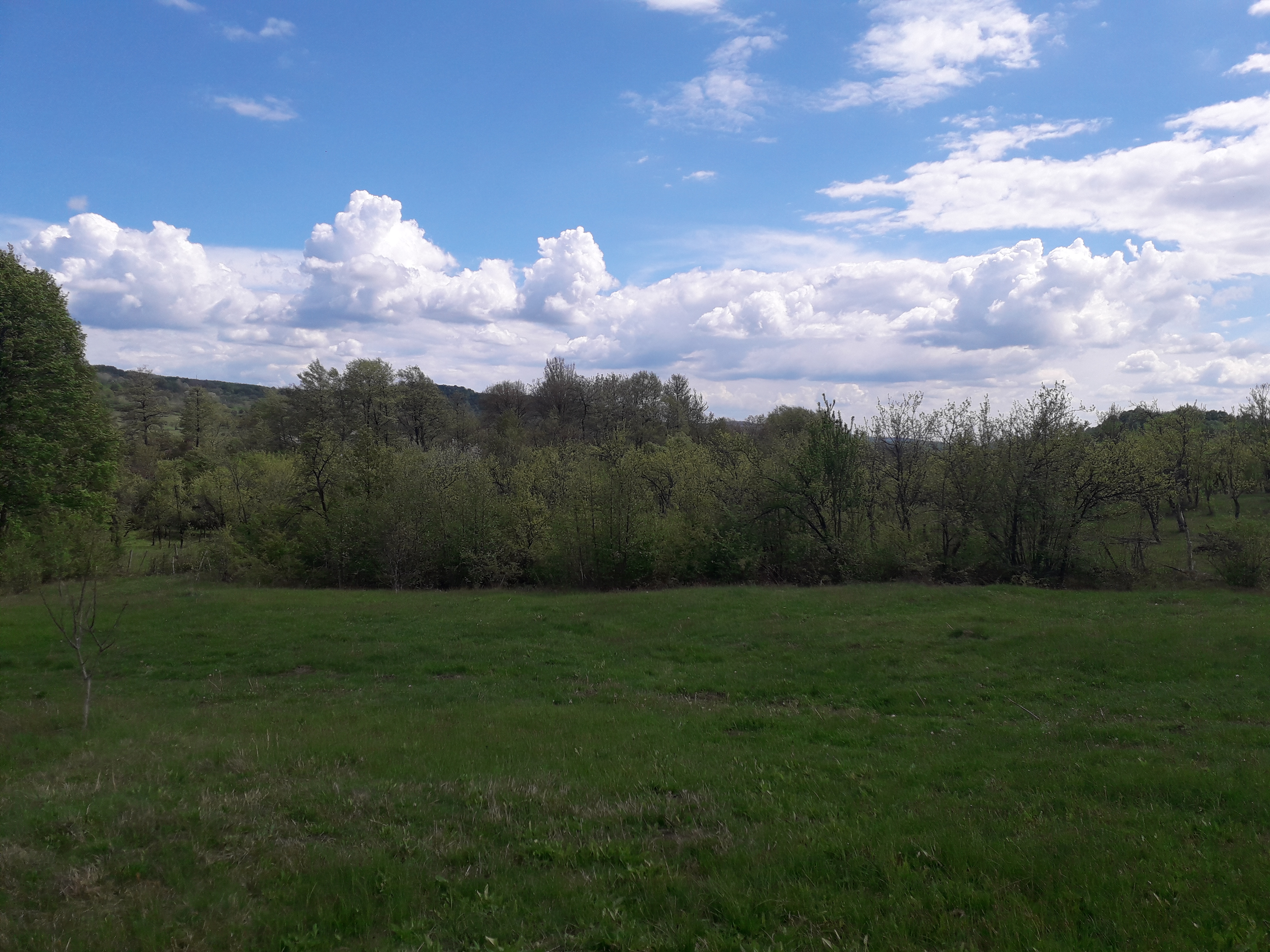 Solstițiul de vară. Ziua cea mai lungă, noaptea cea mai scurtă