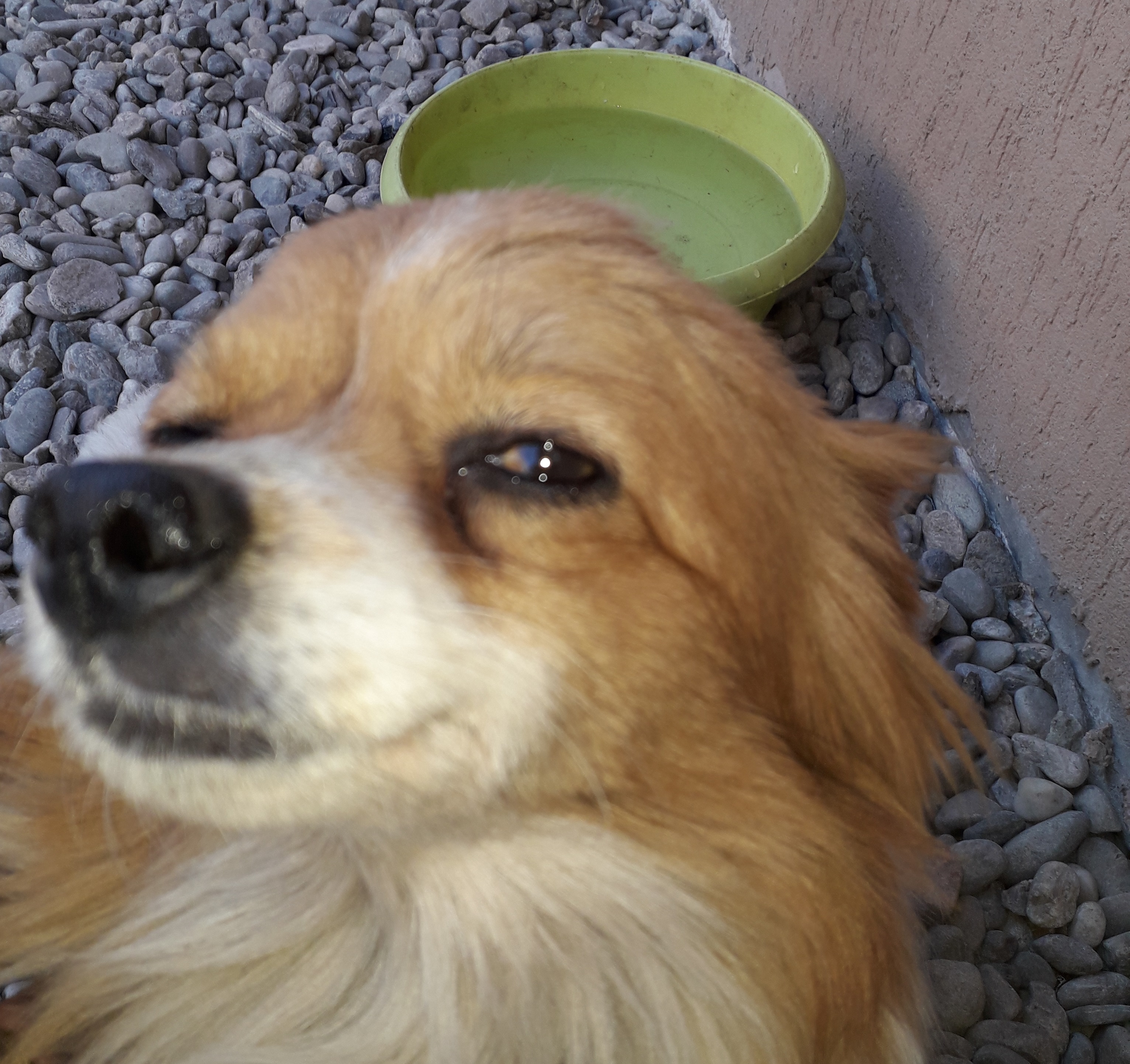 Azi despre ieri – 28 mai 2019