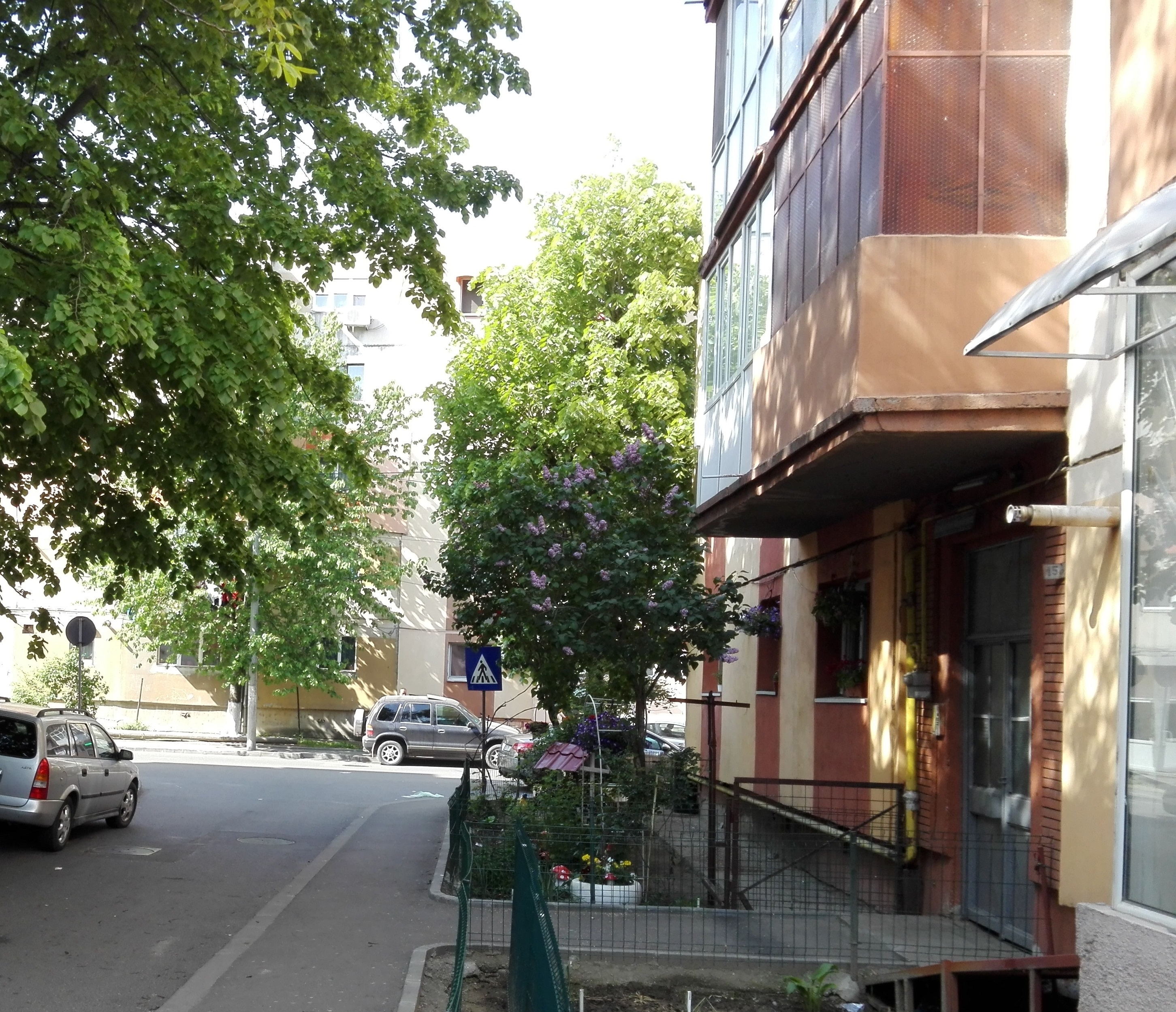 Craiova. Începe prima etapă de deratizare pe domeniul public din acest an