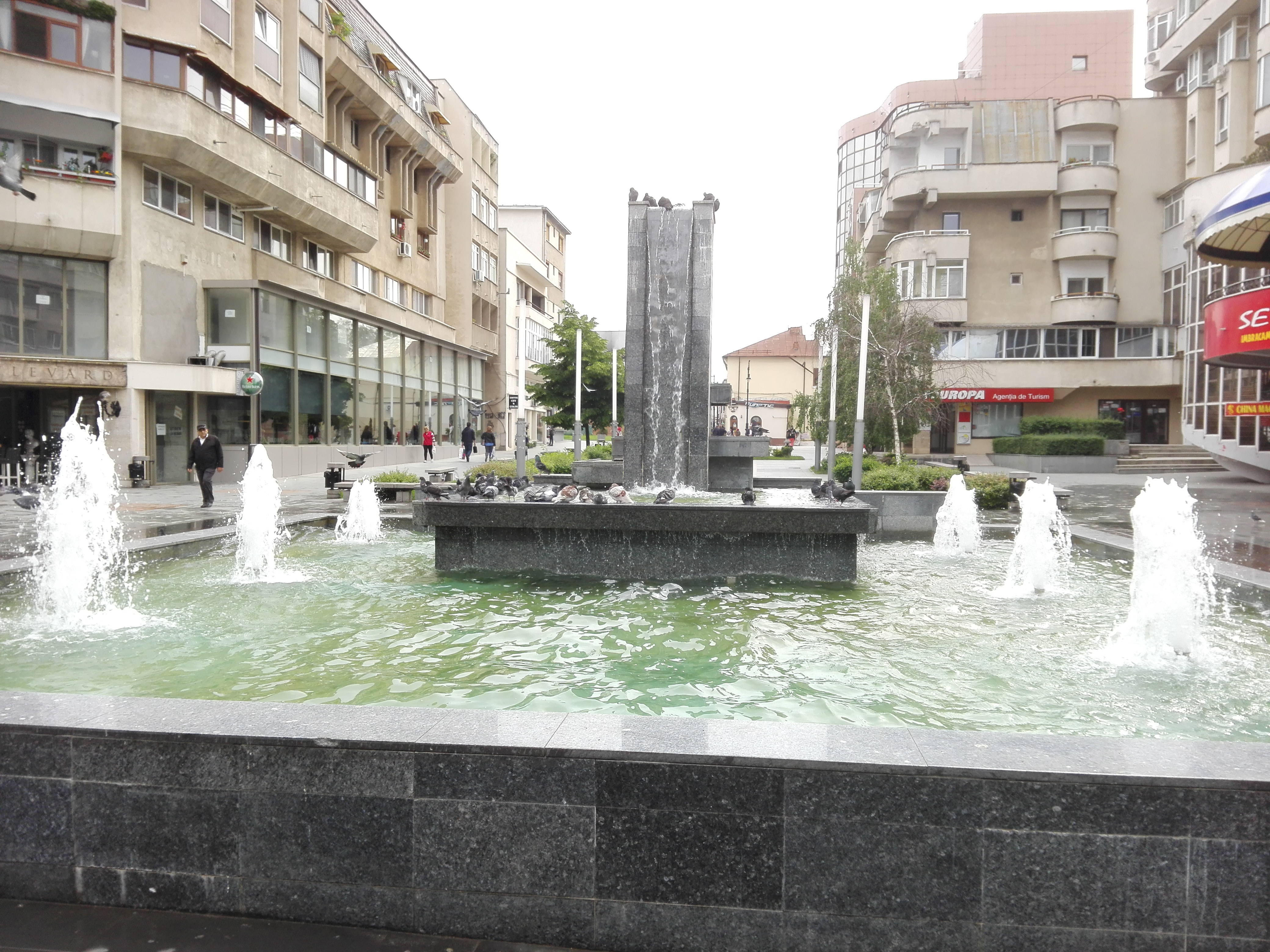 Peste 4.500 persoane angajate prin intermediul AJOFM Dolj în primele cinci luni ale anului 2019