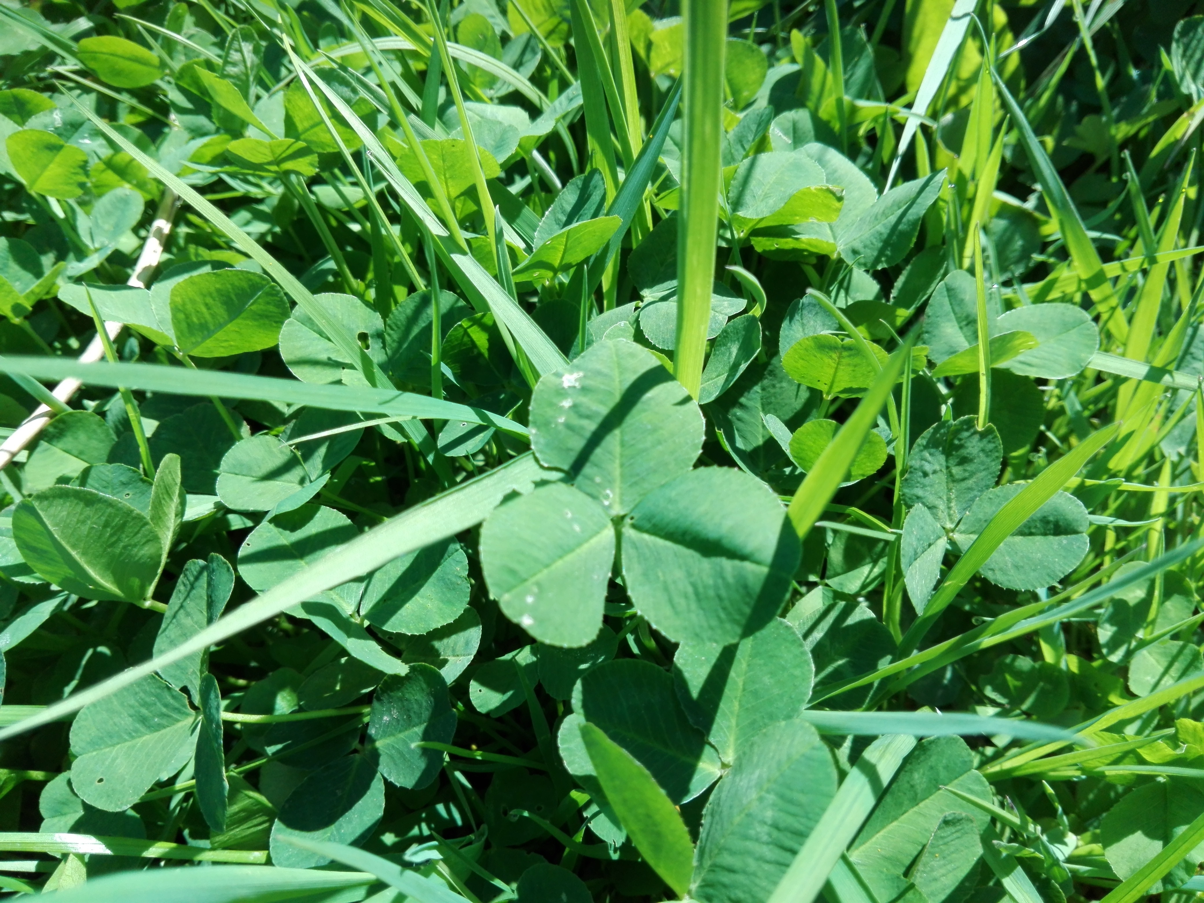 Loto de duminică. Extragerea din 26 mai 2019