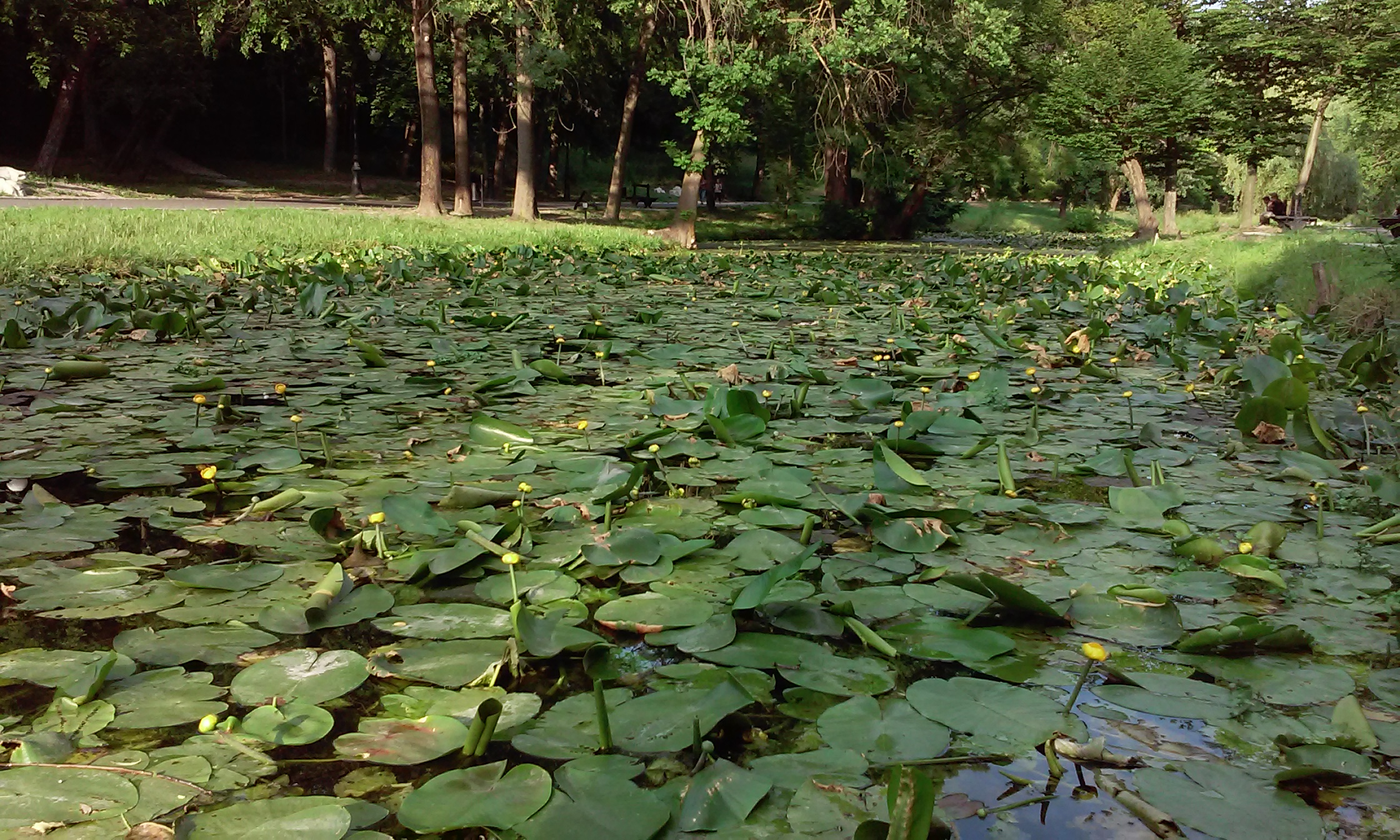 Azi despre ieri – 5 mai 2019