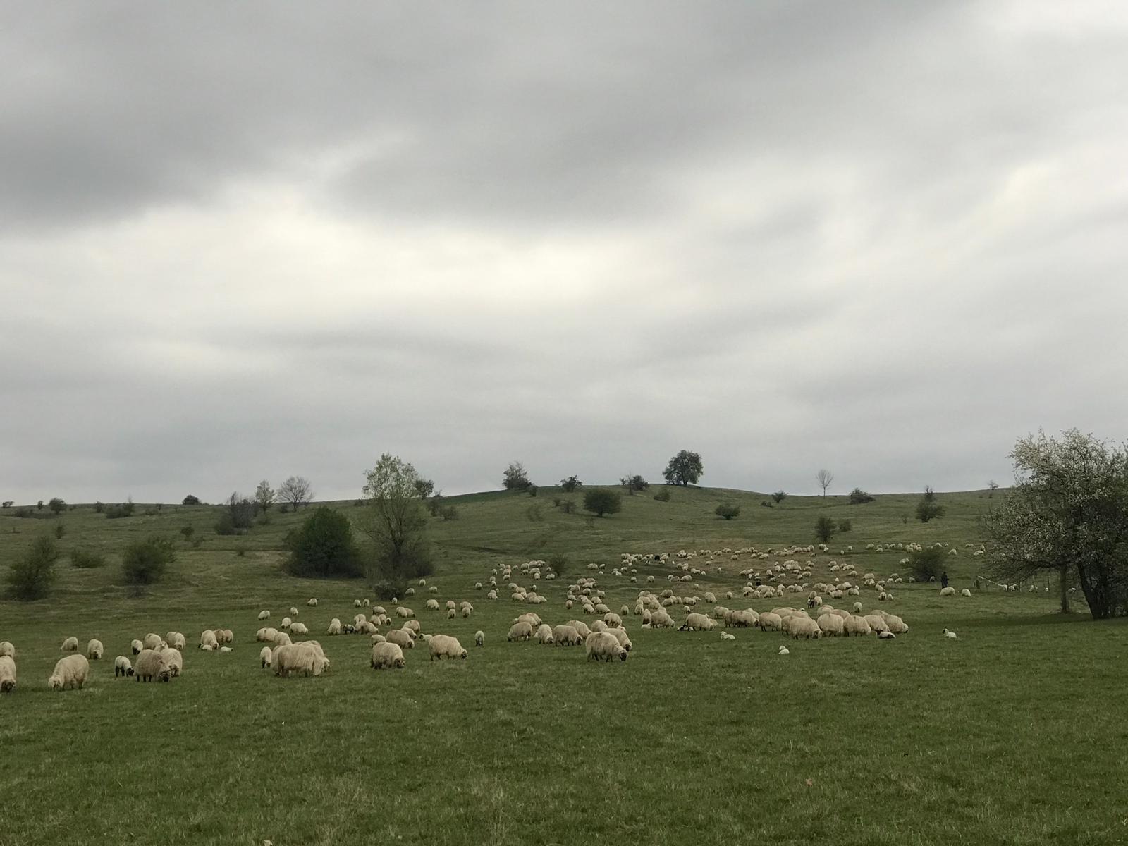 Vremea, 1/2 mai, în Oltenia (audio)