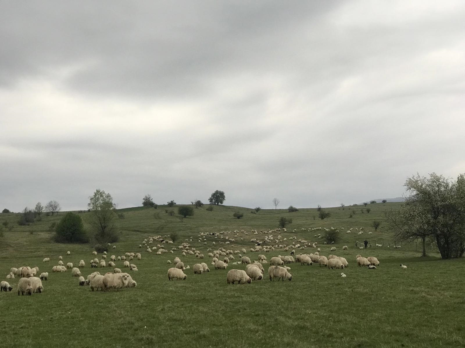 Vremea, 15/16 mai, în Oltenia (audio)