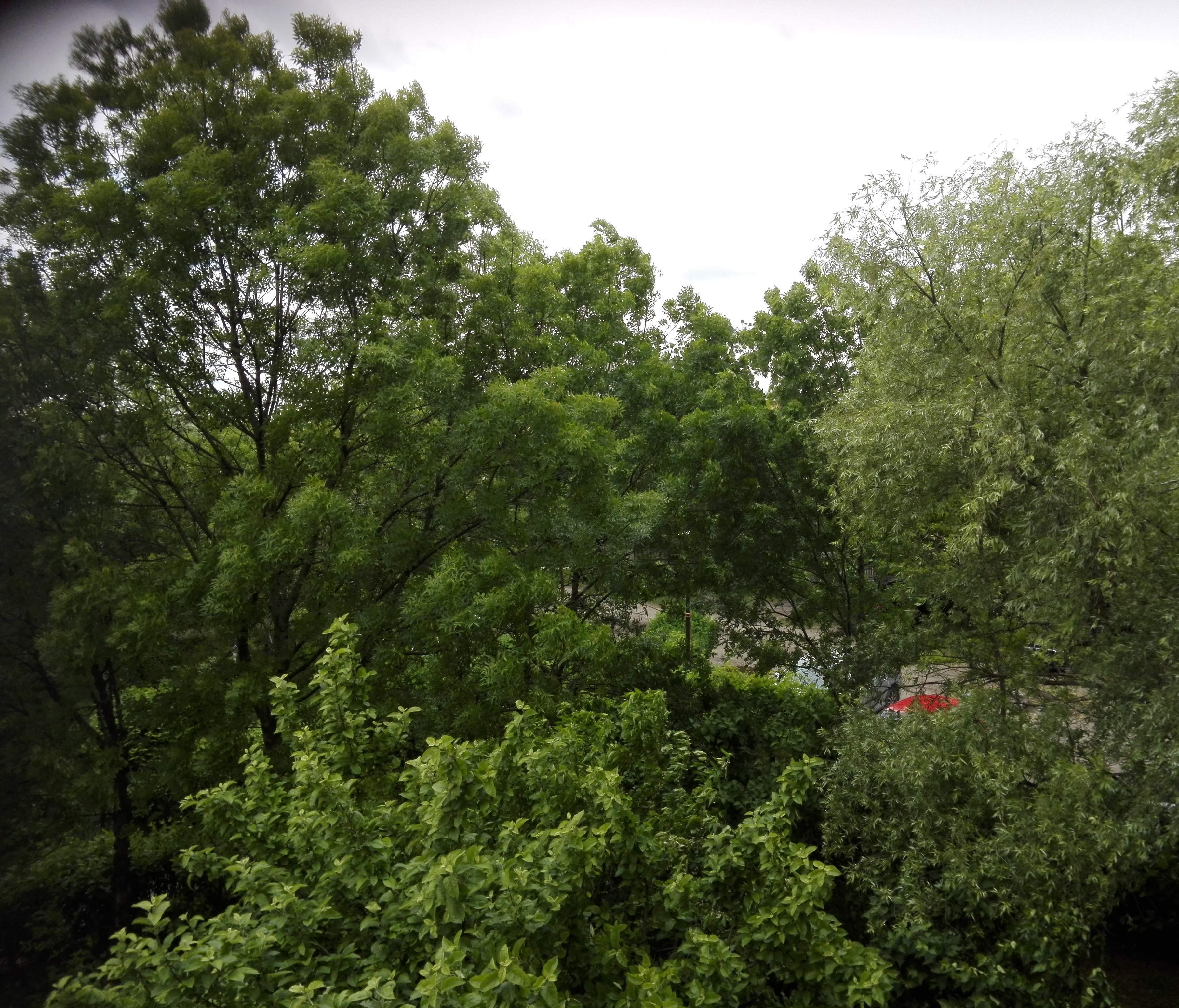 Parcul de la Hanul Doctorului din Craiova va fi transformat în parc pentru copii (audio)