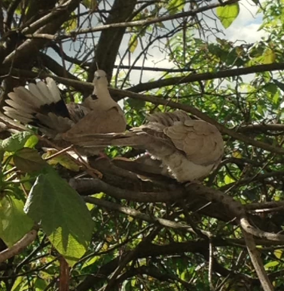 Azi despre ieri – 18 mai 2019