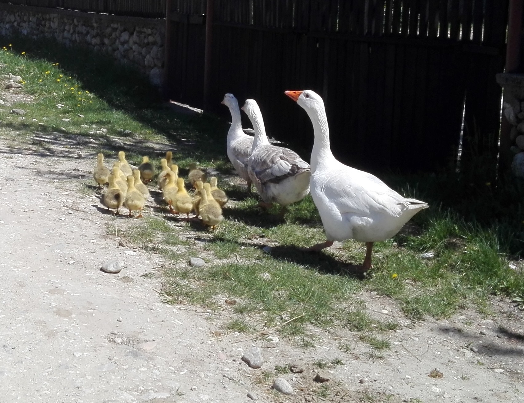 Azi despre ieri – 7 mai 2019