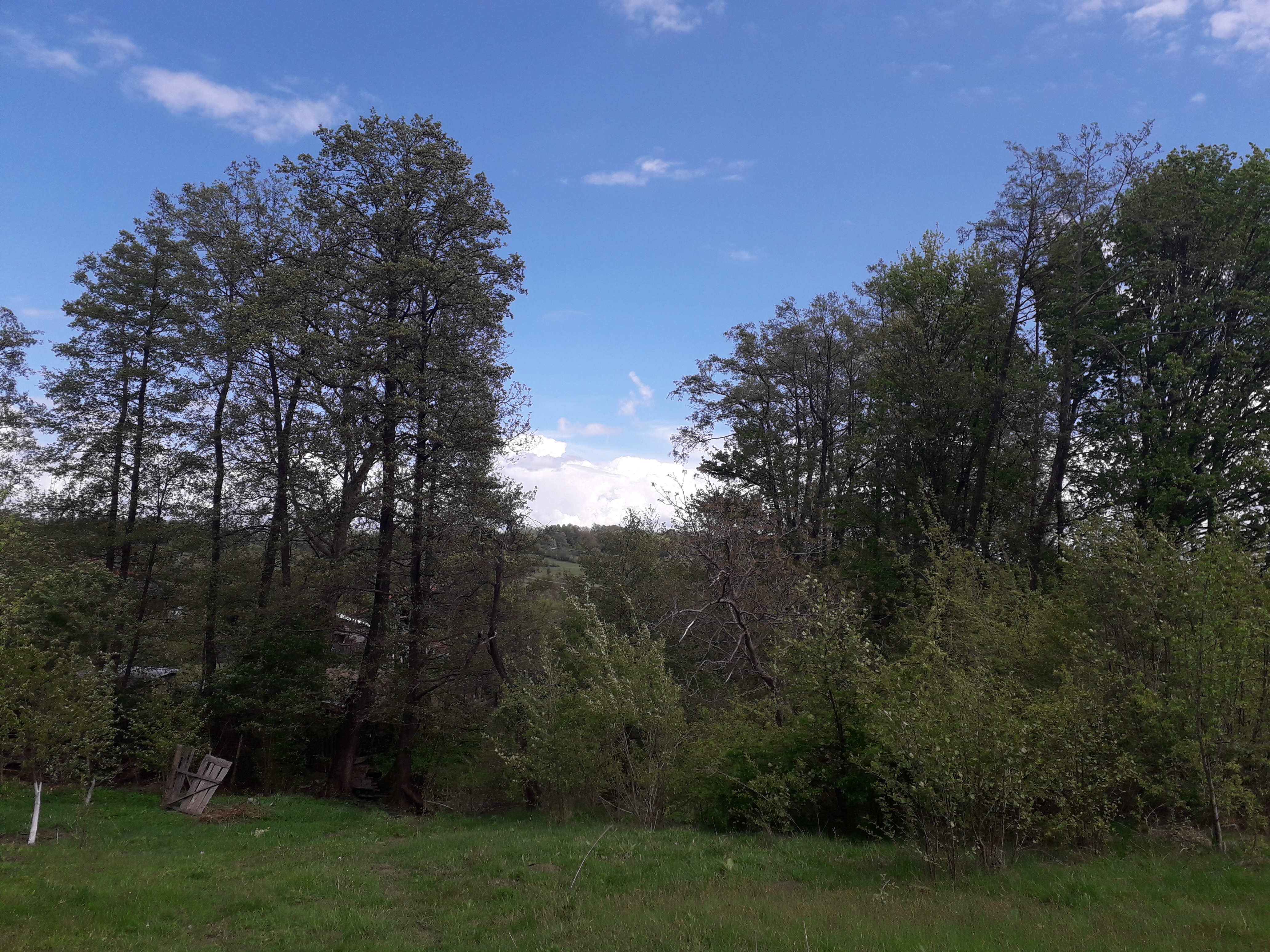 Azi despre ieri – 31 mai 2019