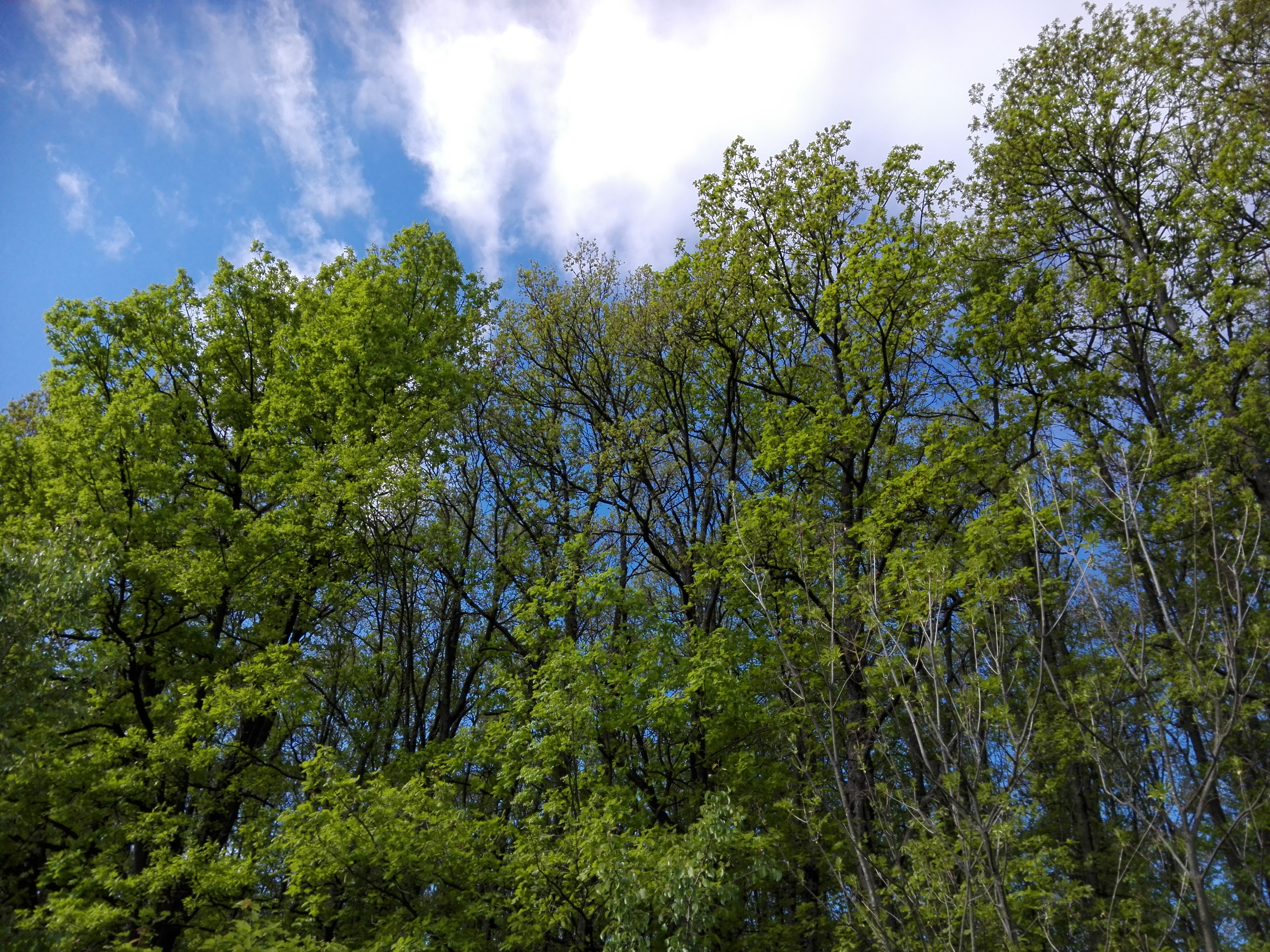 Azi despre ieri – 30 mai 2019