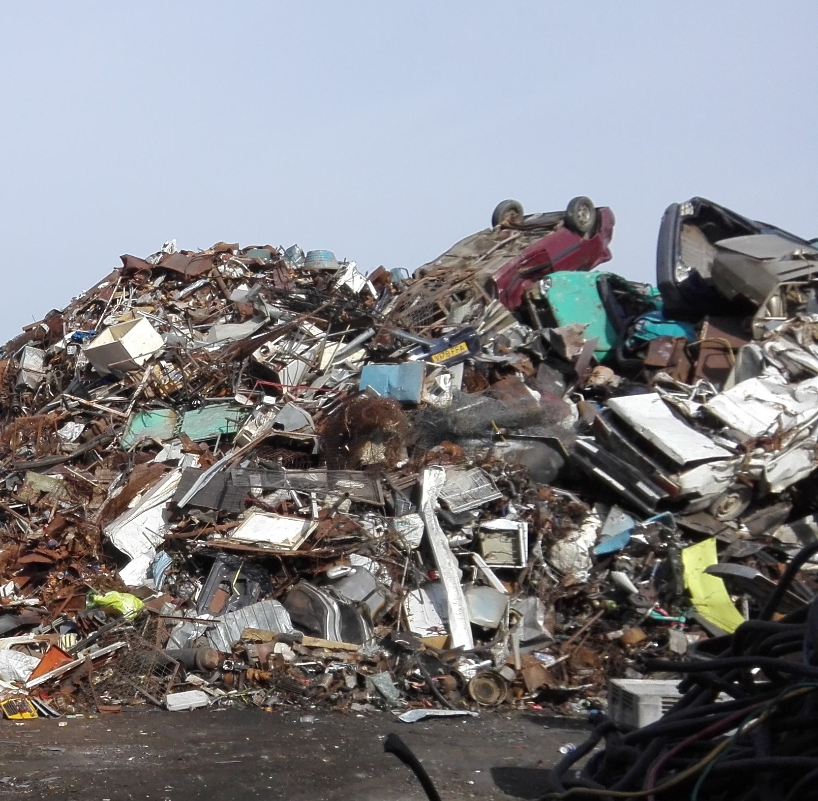 Programele Rabla clasic şi Rabla plus au fost prelungite