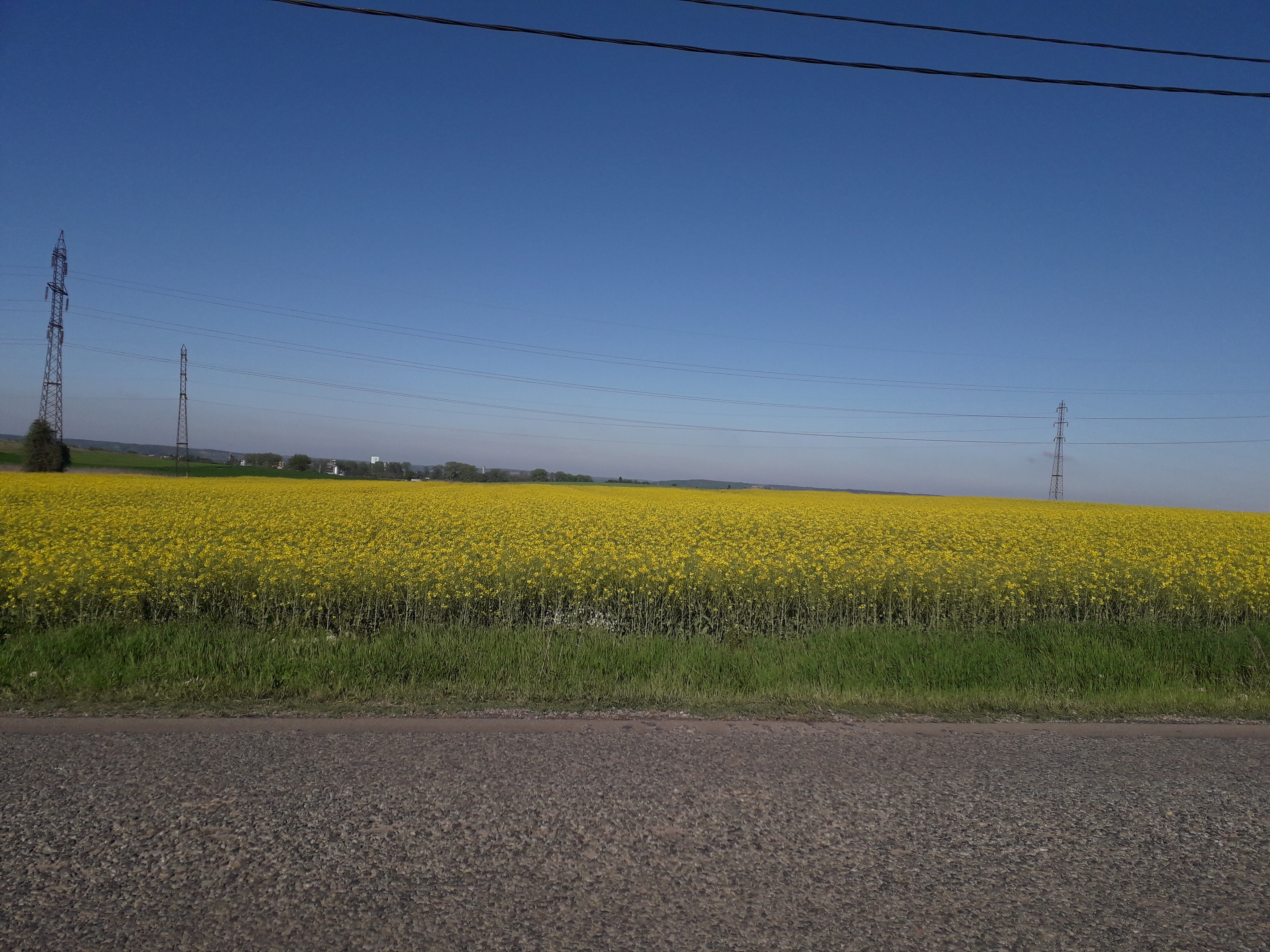 Azi despre ieri – 6 mai 2019