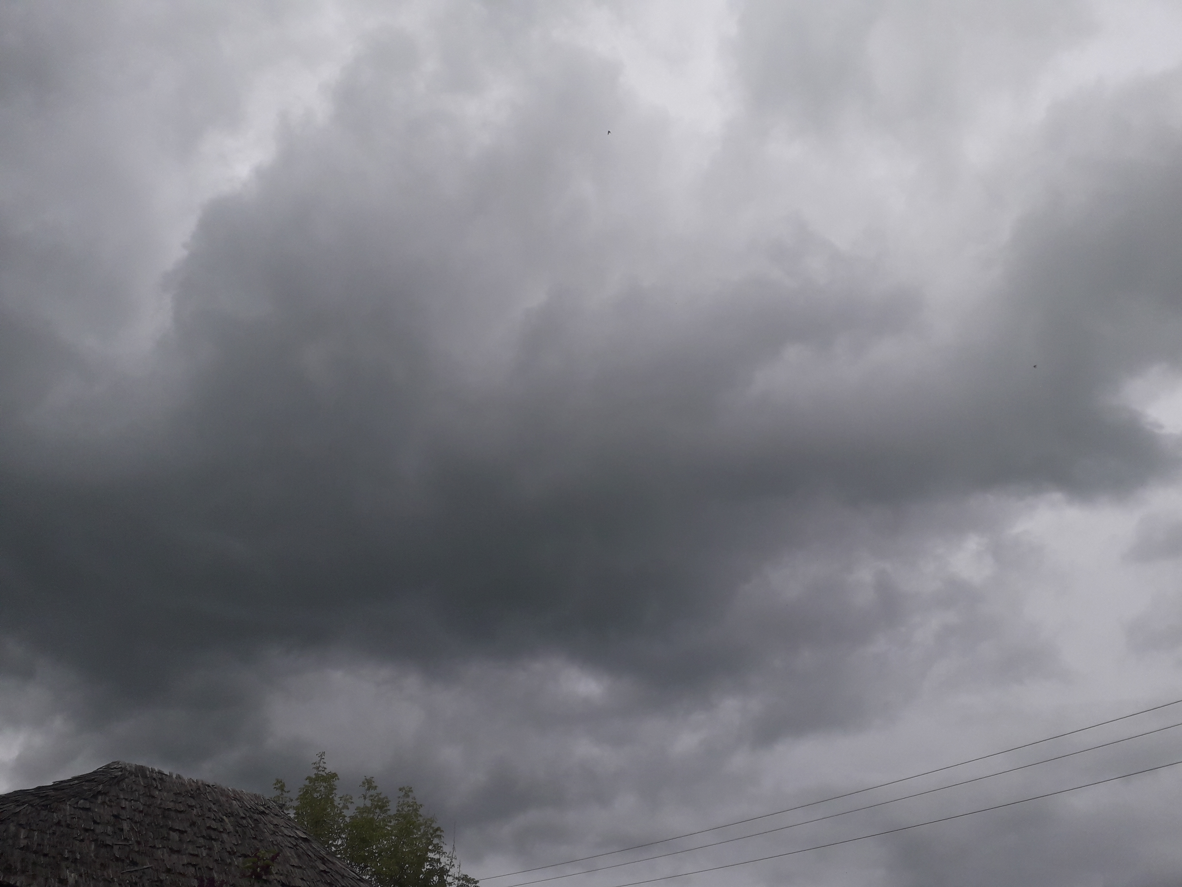 Vremea, 21/22 mai, în Oltenia (audio)