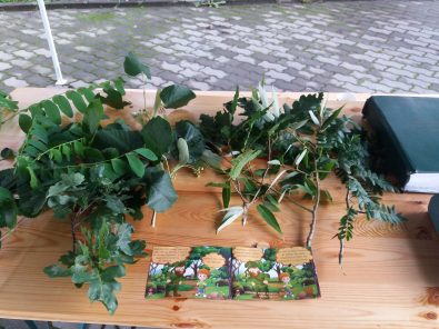 Direcția Silvică Dolj – Ziua Porților Deschise