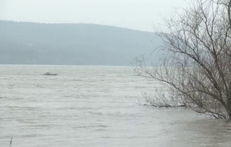 Dunărea a ieșit din matcă