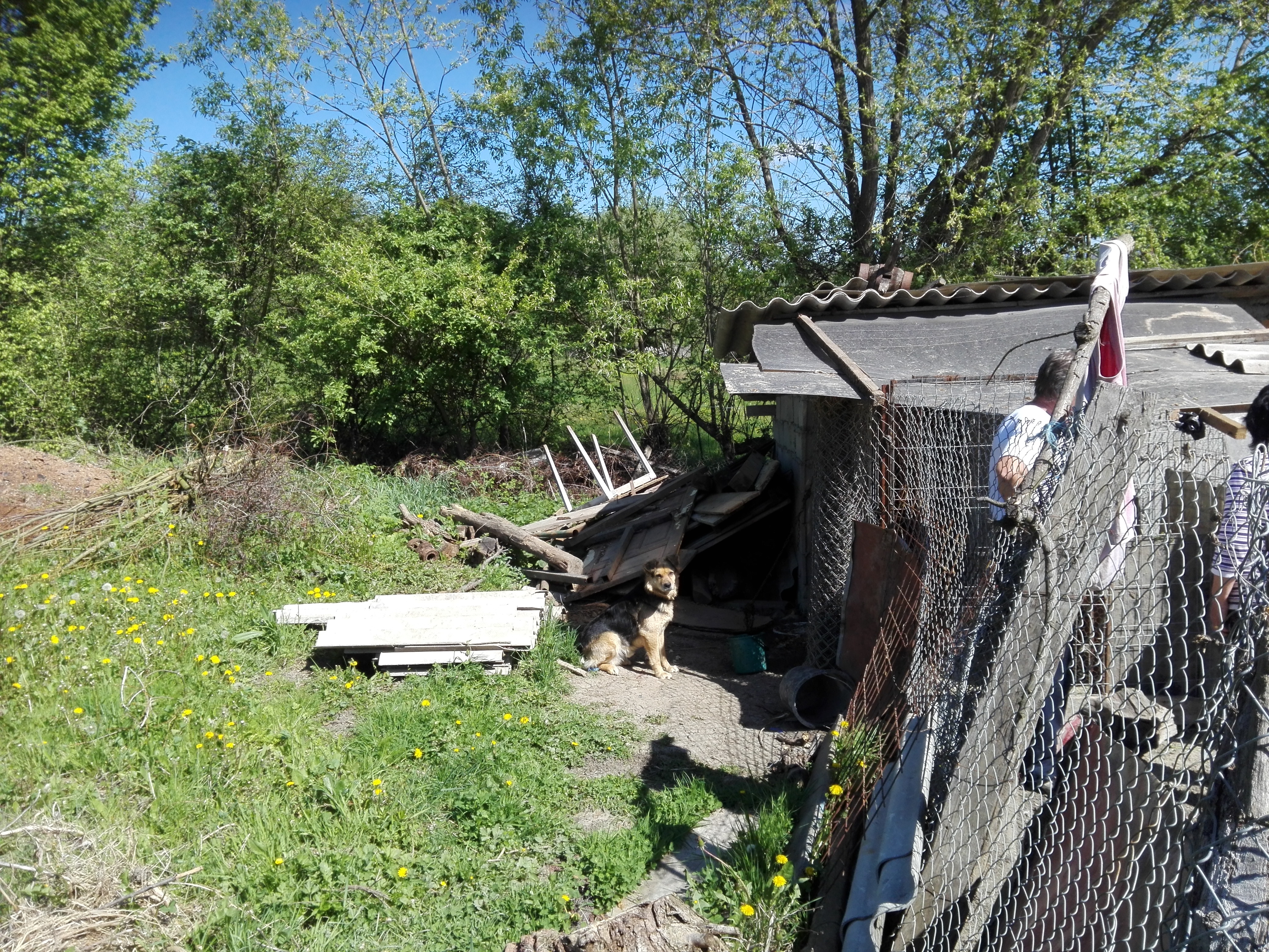 Azi despre ieri – 23 iunie 2019