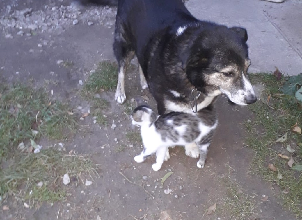 Azi despre ieri – 1 iulie 2019