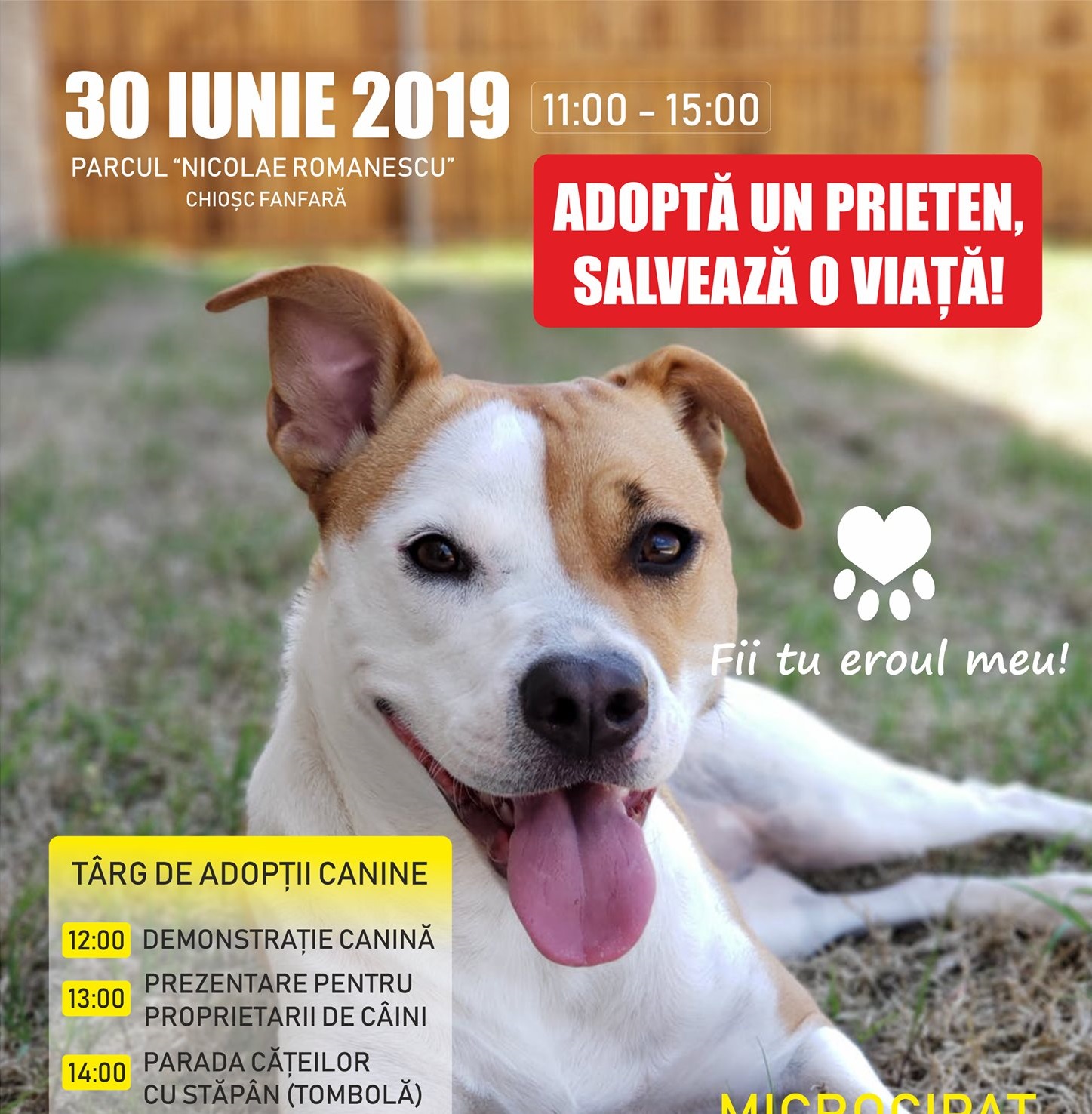 Adoptă un prieten, salvează o viață!