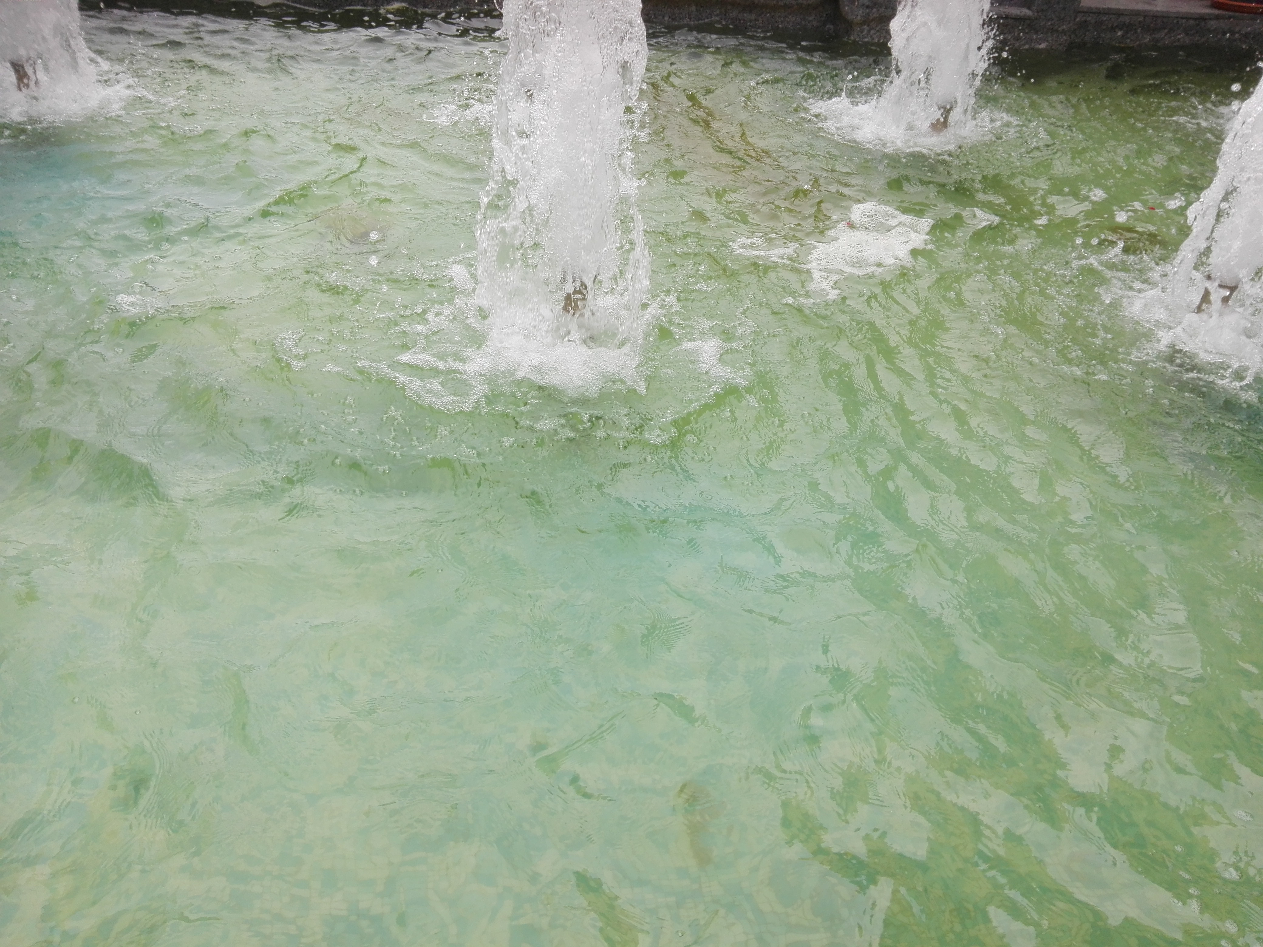 Azi despre ieri – 25 iunie 2019