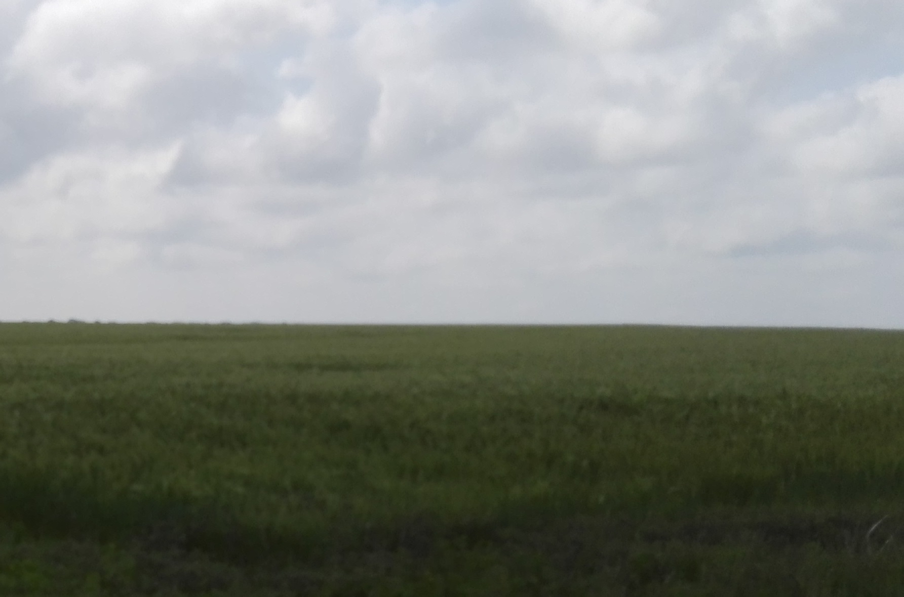 Sprijin acordat fermierilor pentru refacerea potenţialului de producţie agricolă