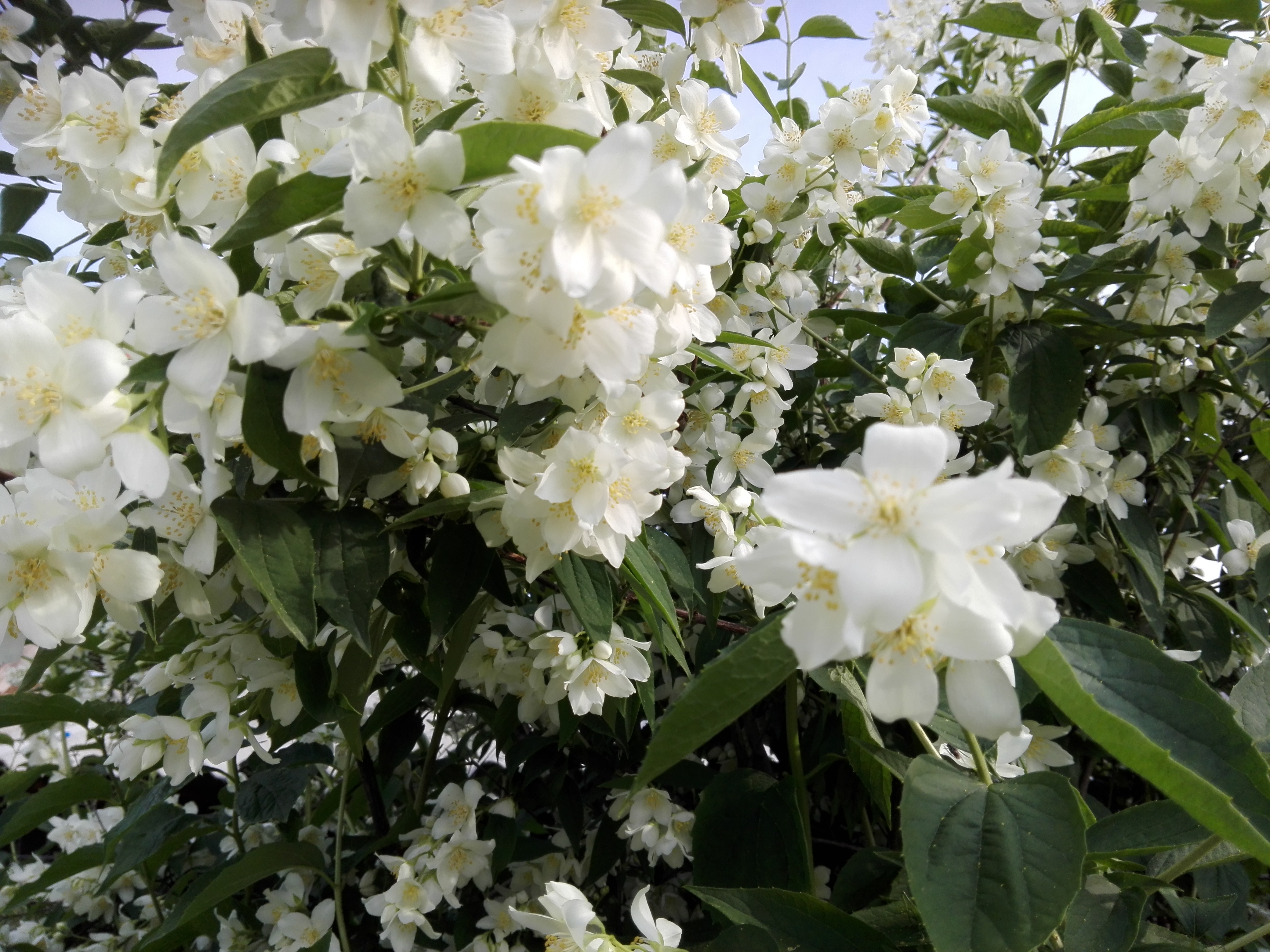 Azi despre ieri – 10 iunie 2019